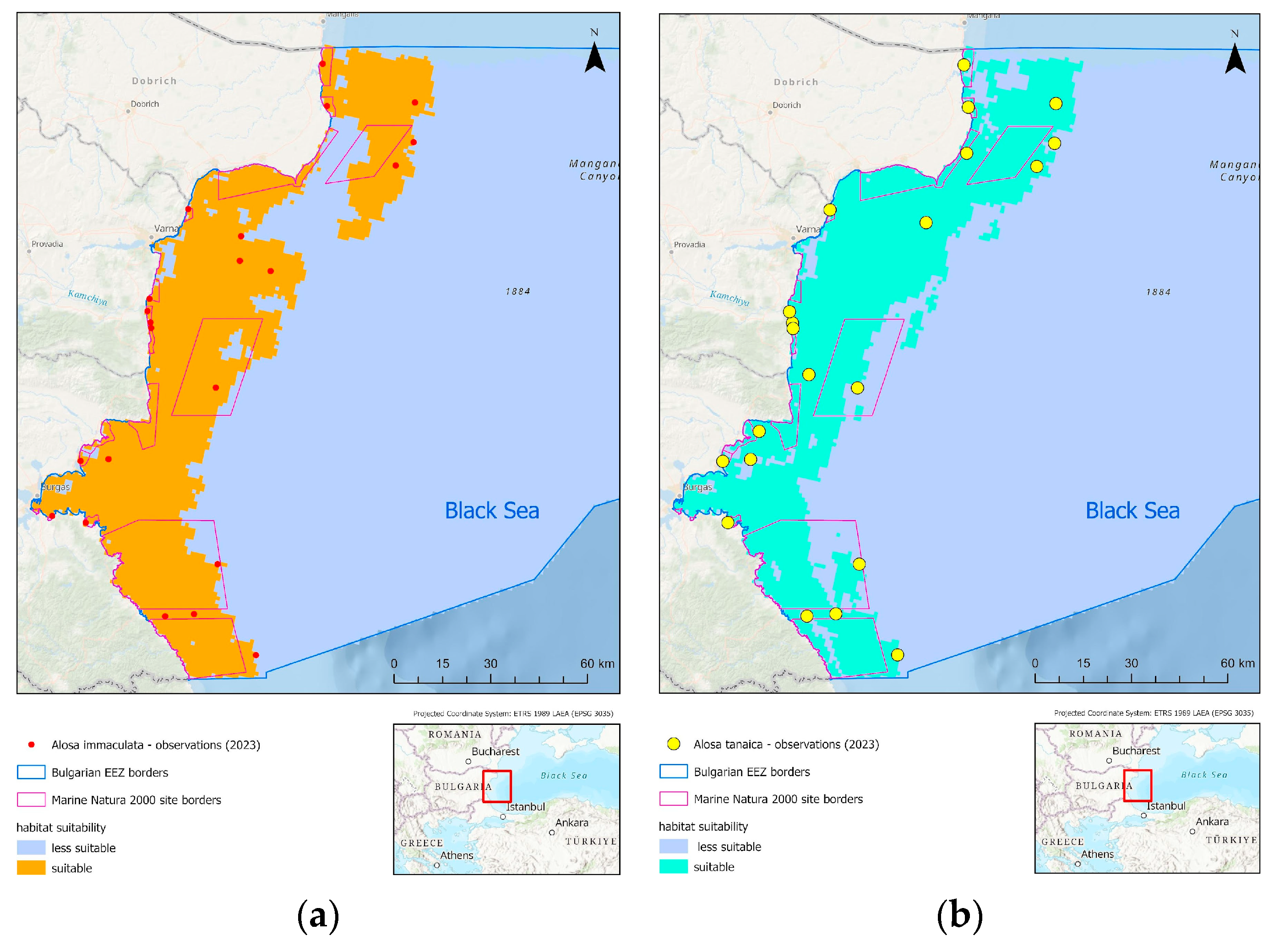 Diversity 17 00038 g004 Diversity 17 00038 g004