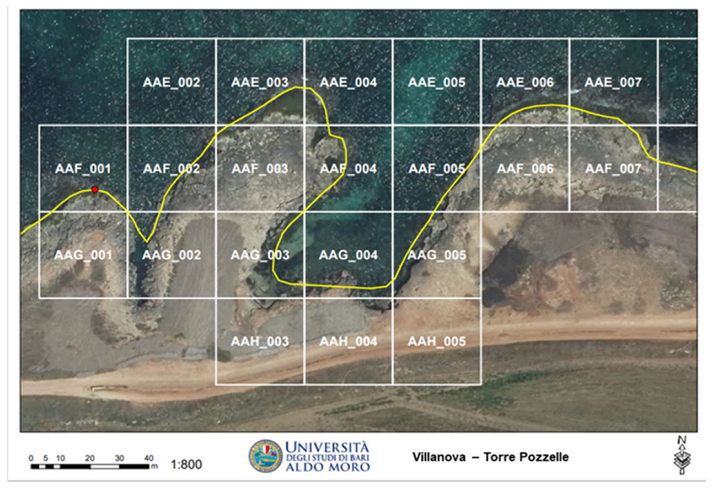Diversity 17 00049 g003