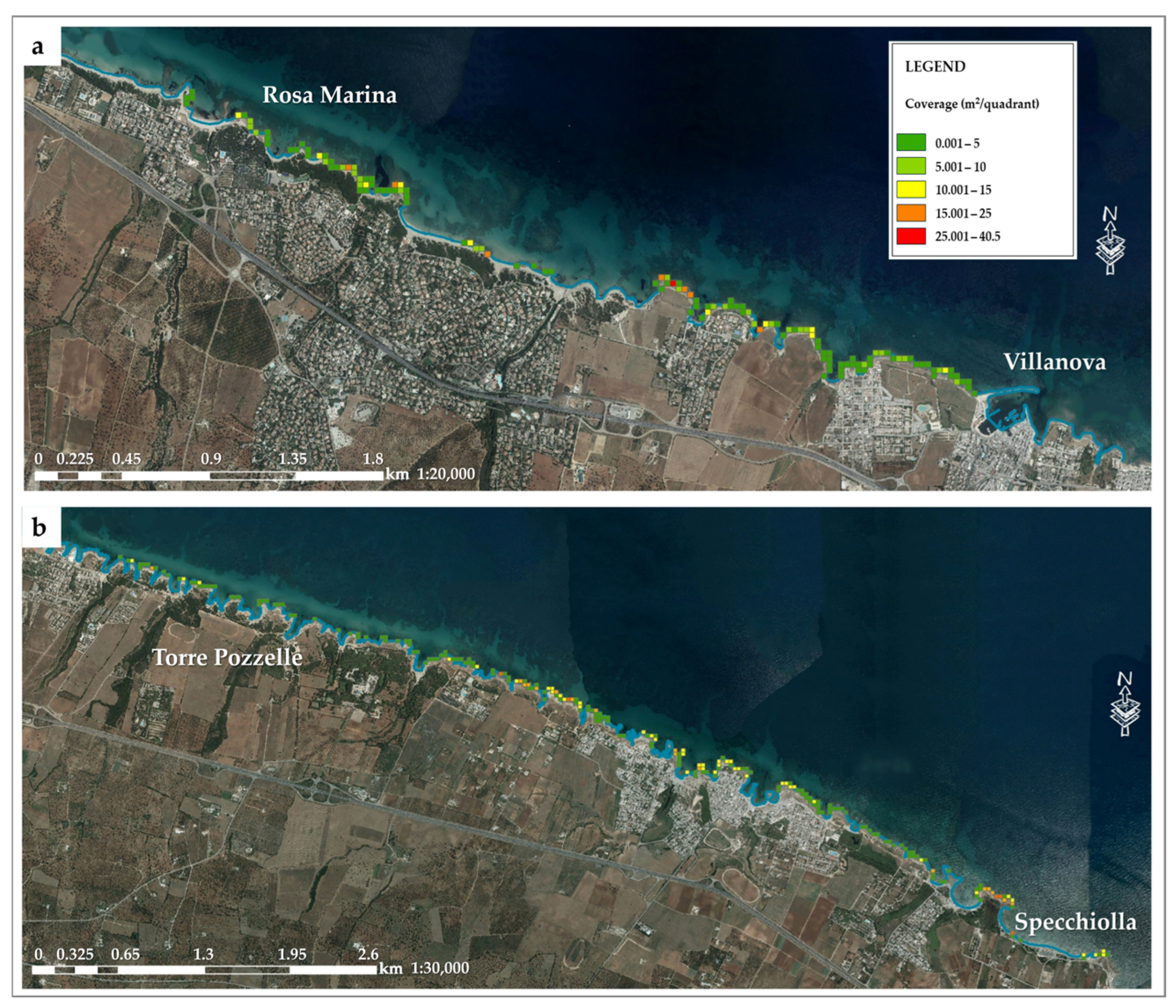 Diversity 17 00049 g004