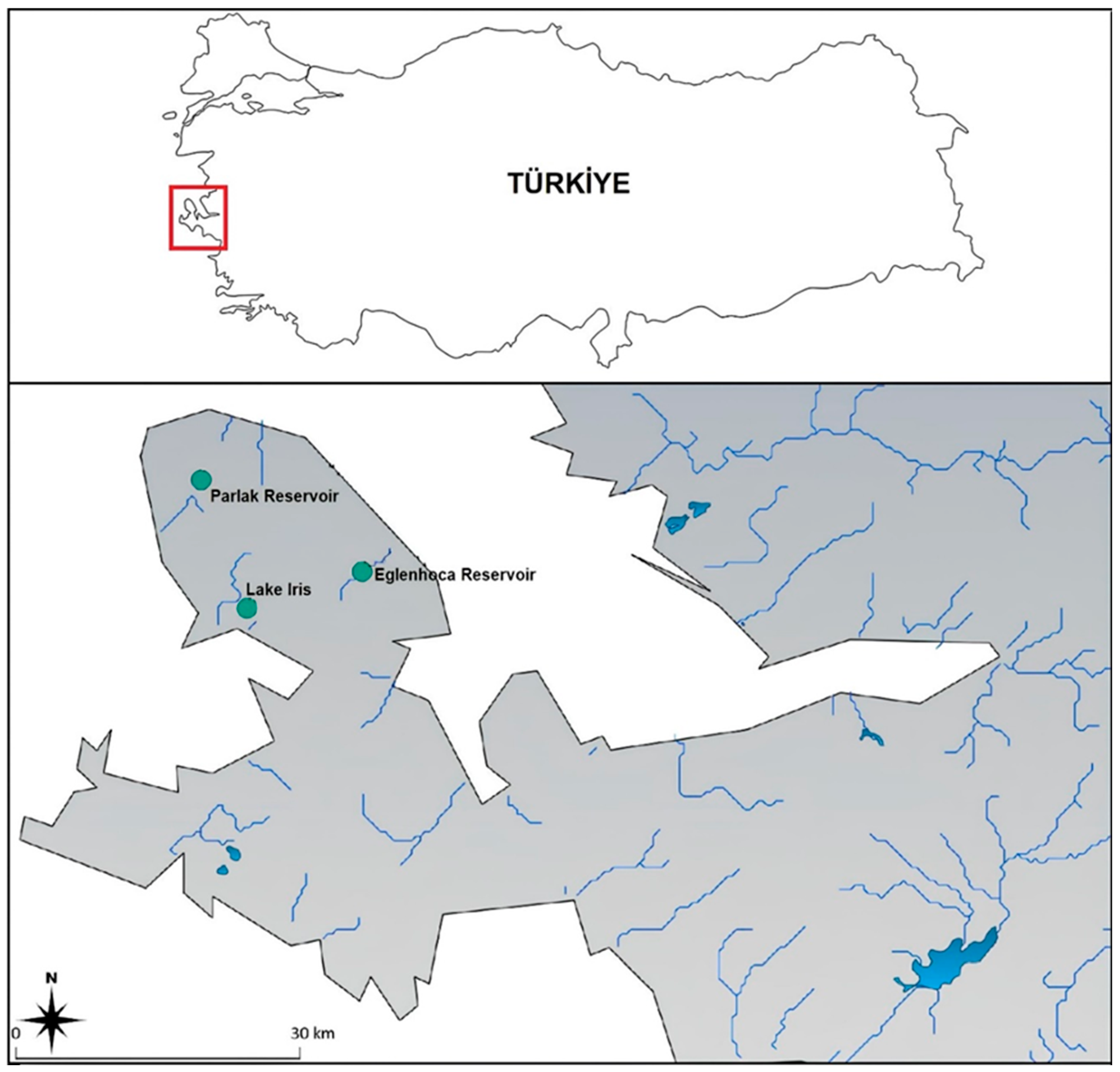 Diversity 17 00051 g001