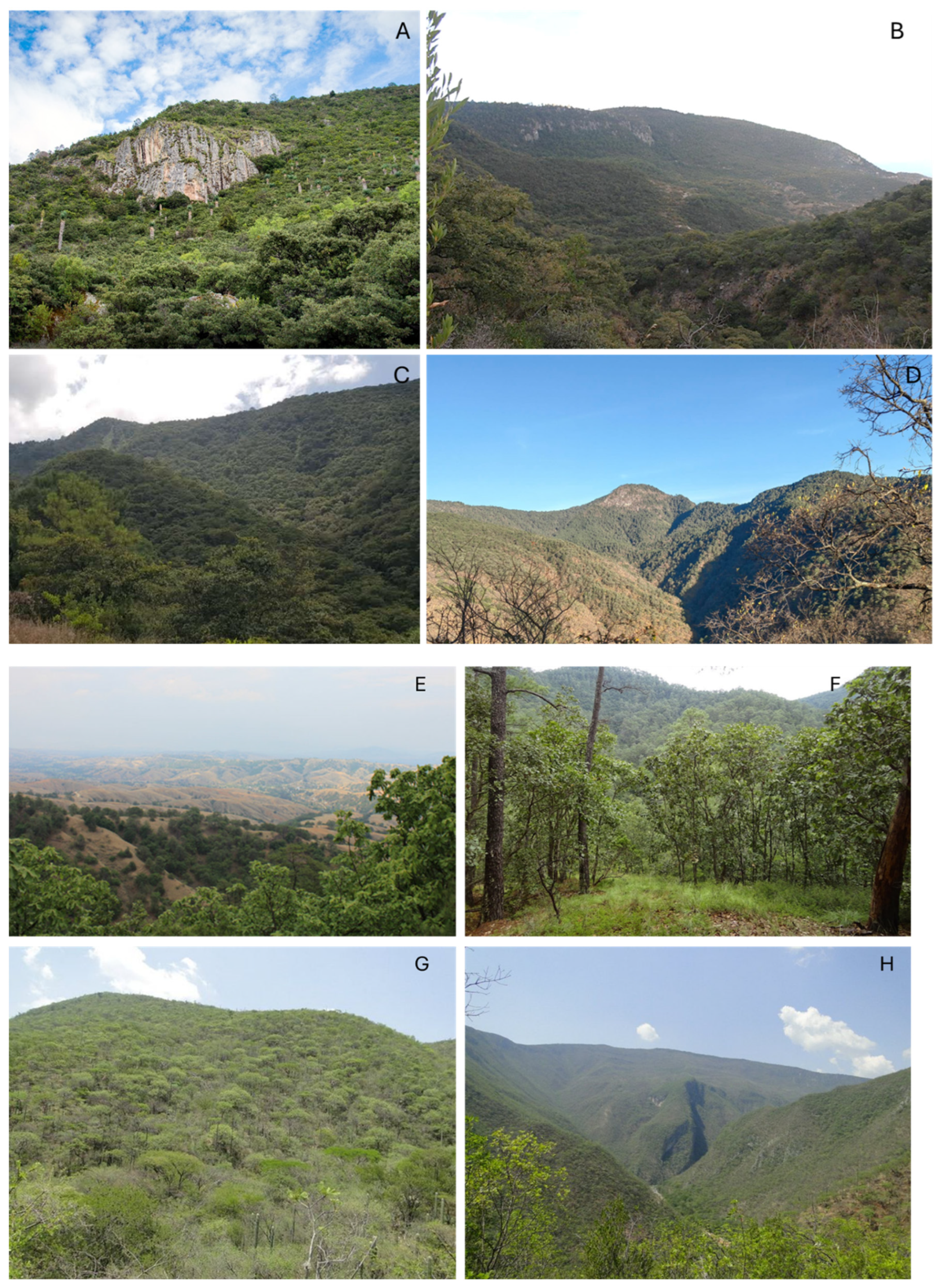 Diversity 17 00055 g002 Diversity 17 00055 g002