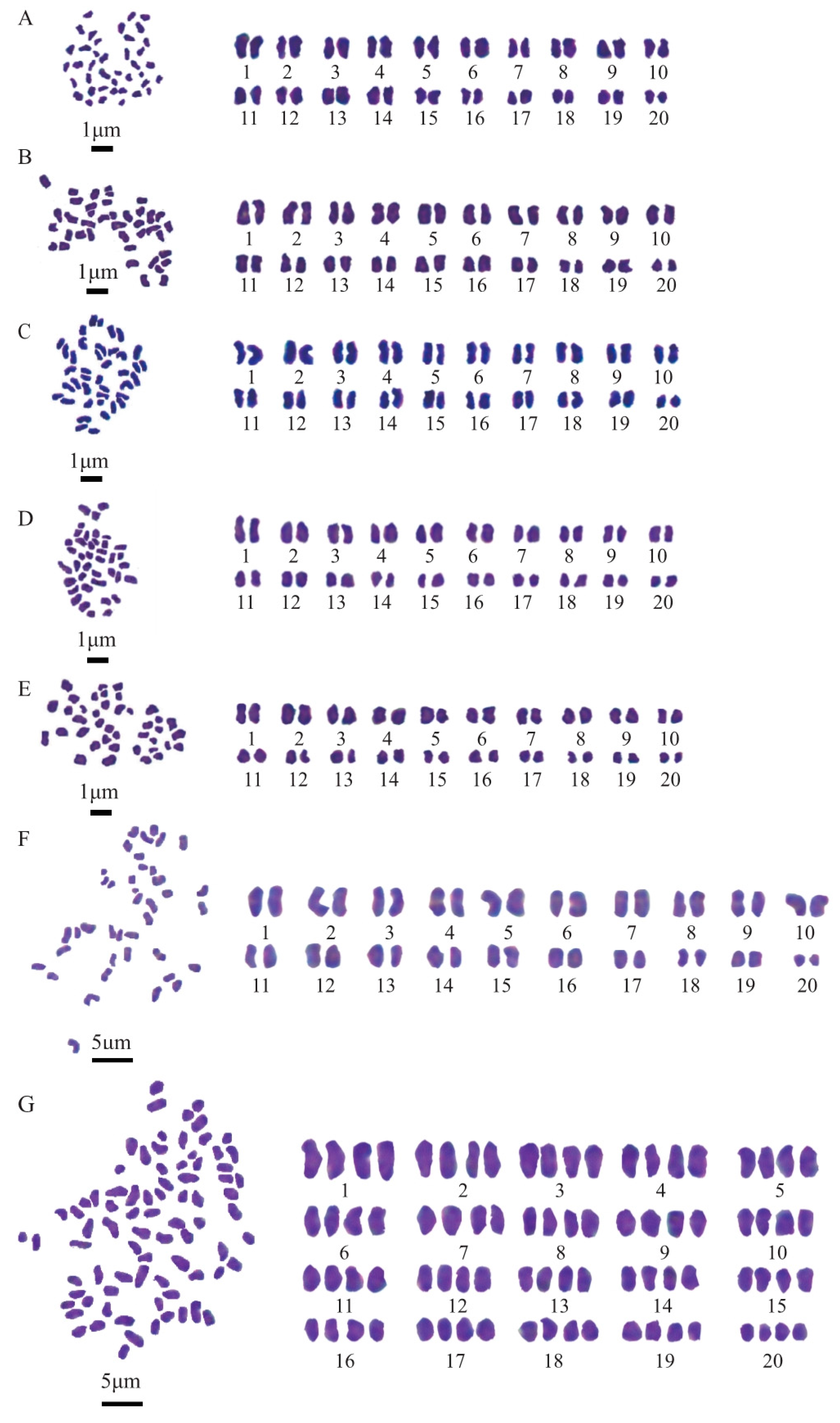 Diversity 17 00057 g001