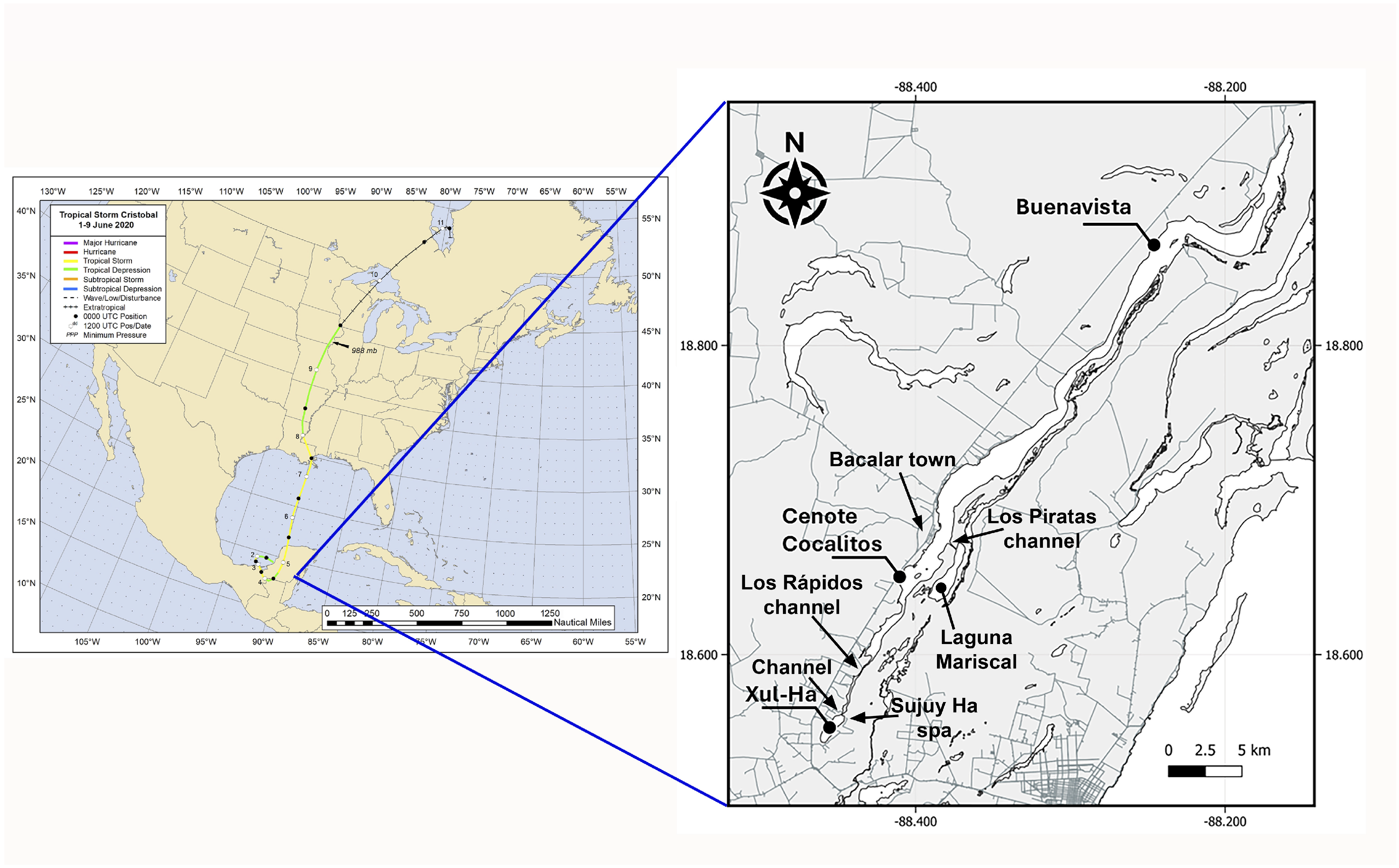 Diversity 17 00058 g002