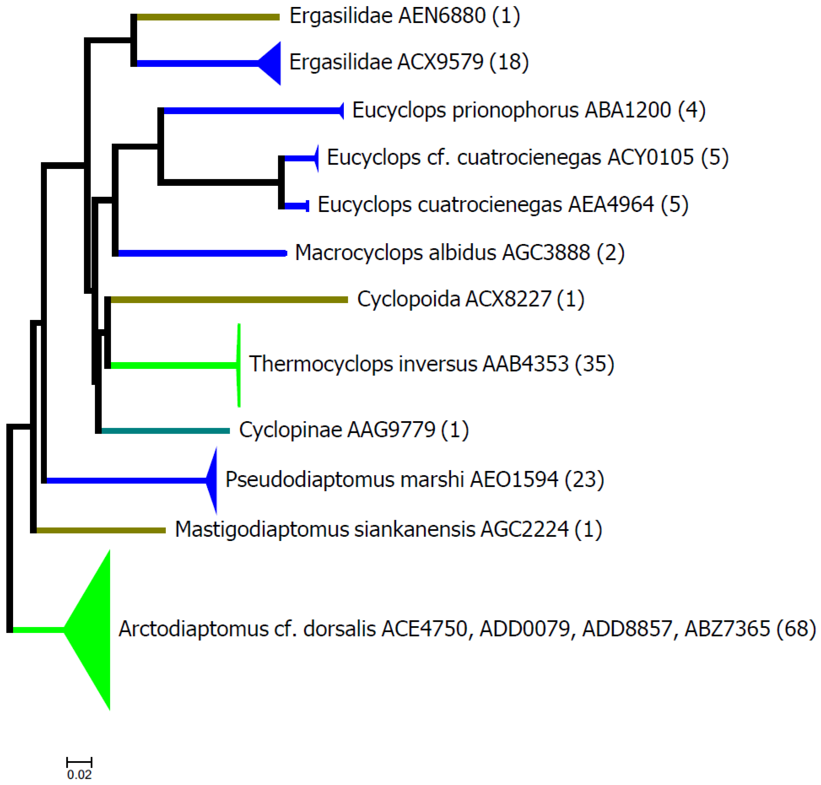 Diversity 17 00058 g007