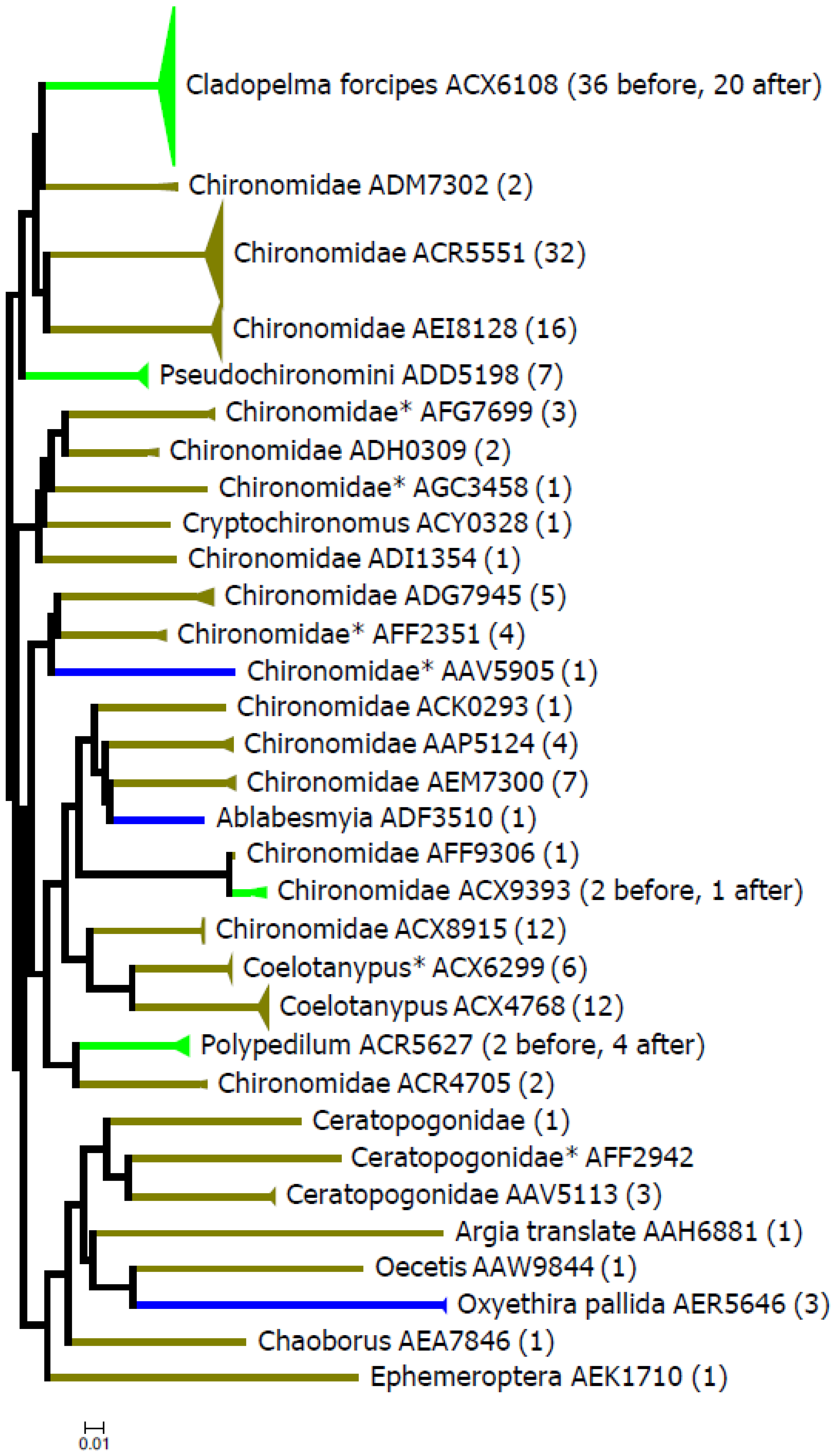 Diversity 17 00058 g009