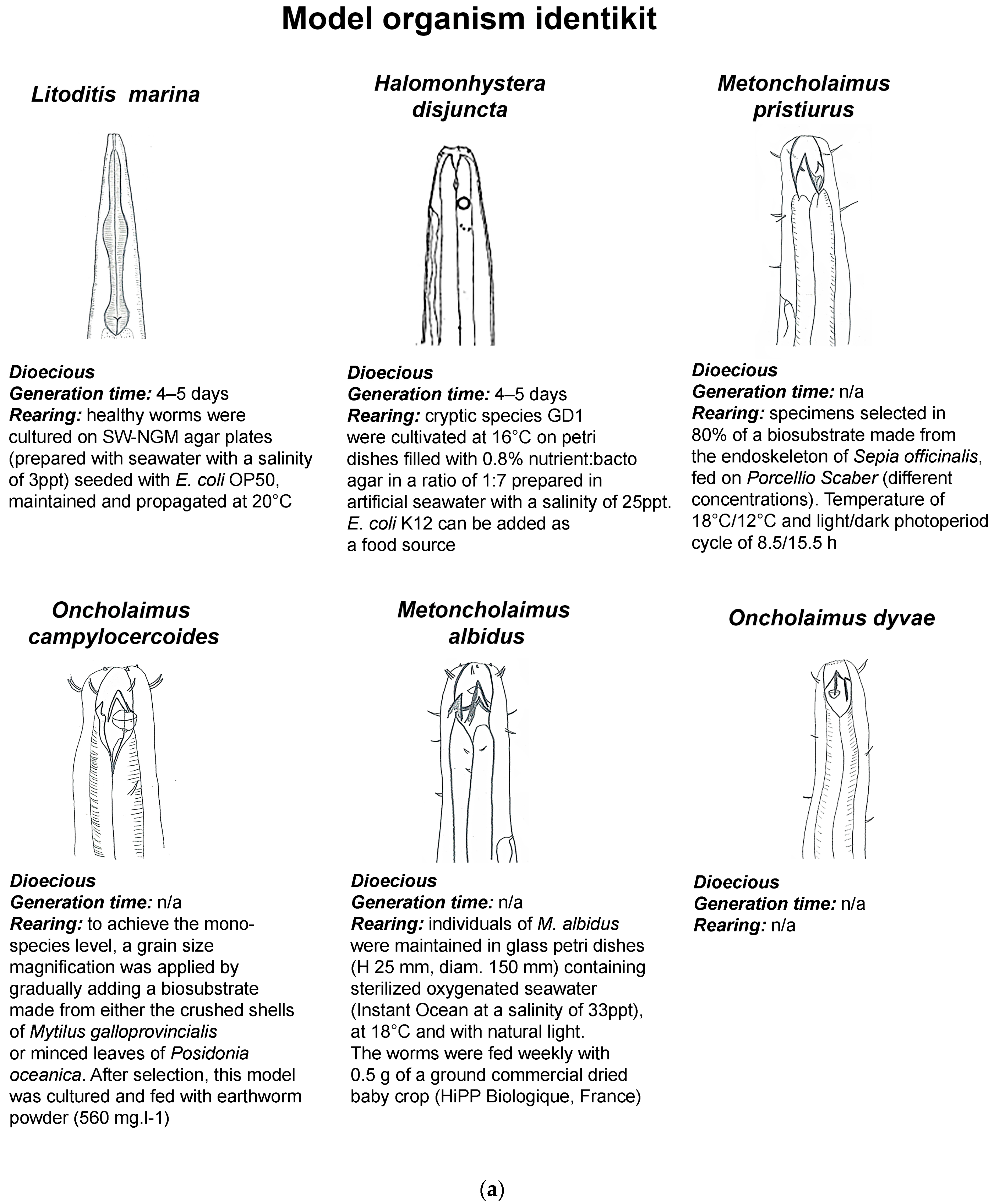 Diversity 17 00059 g001a Diversity 17 00059 g001a