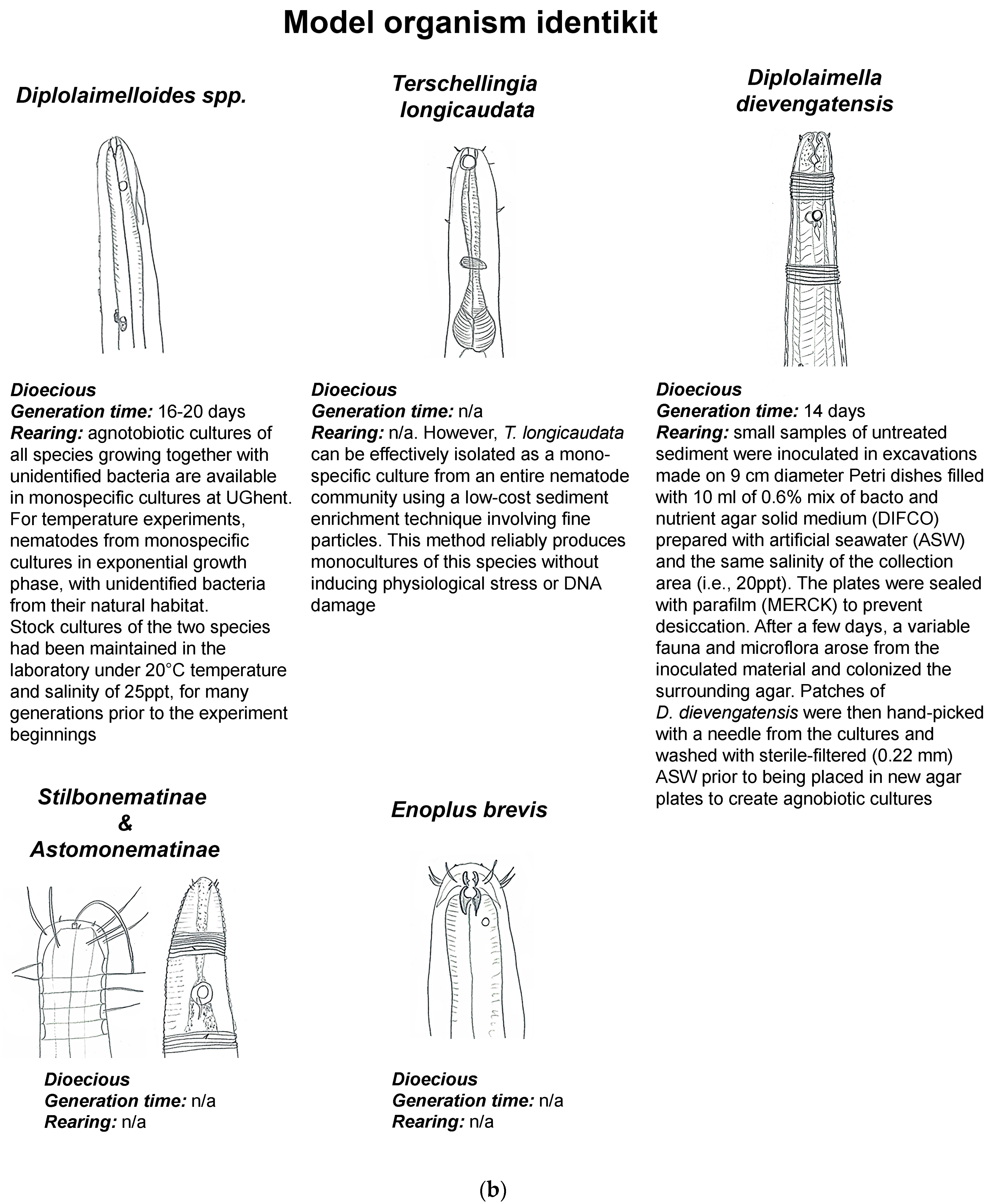 Diversity 17 00059 g001b Diversity 17 00059 g001b