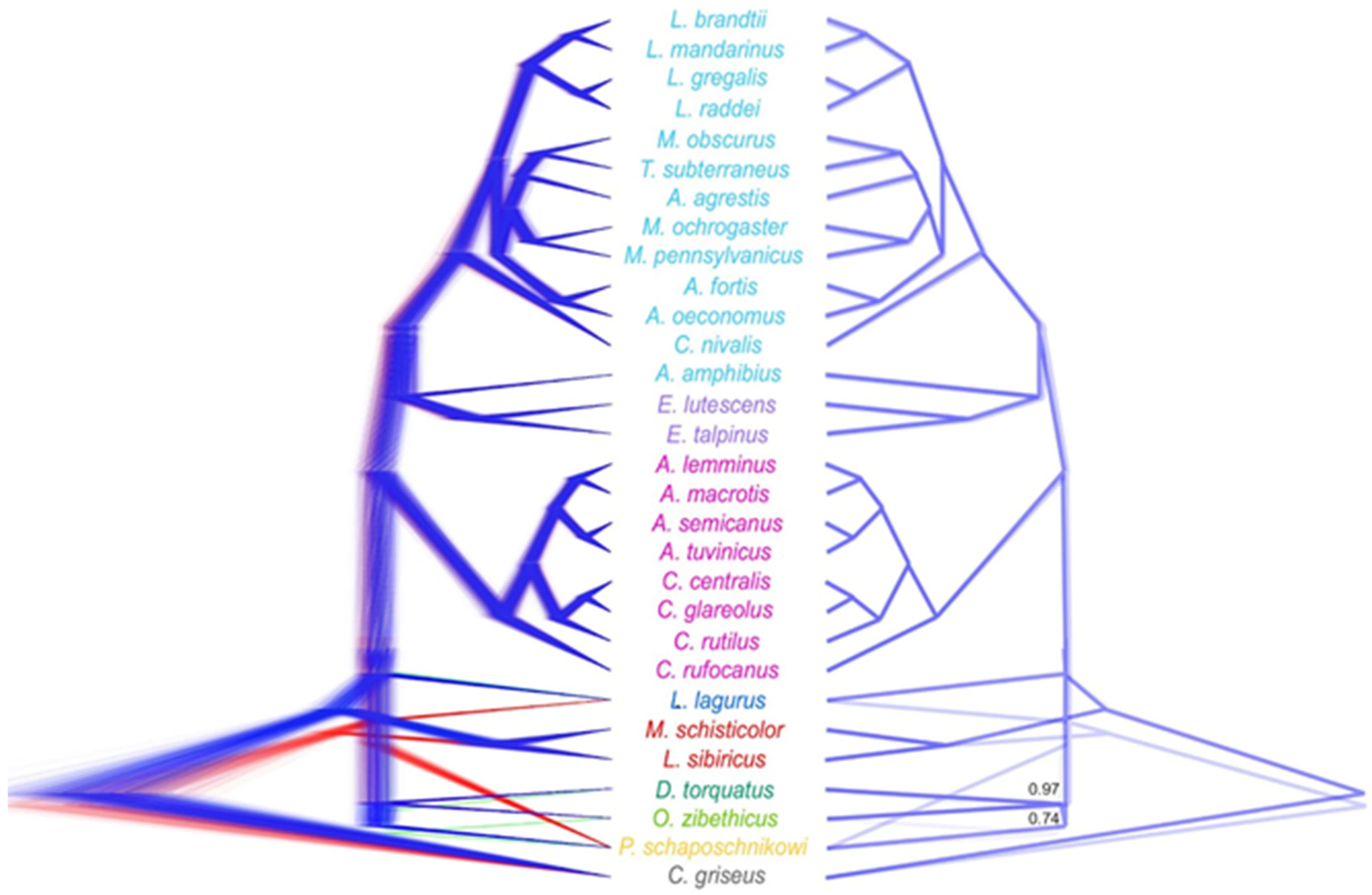 Diversity 17 00061 g002