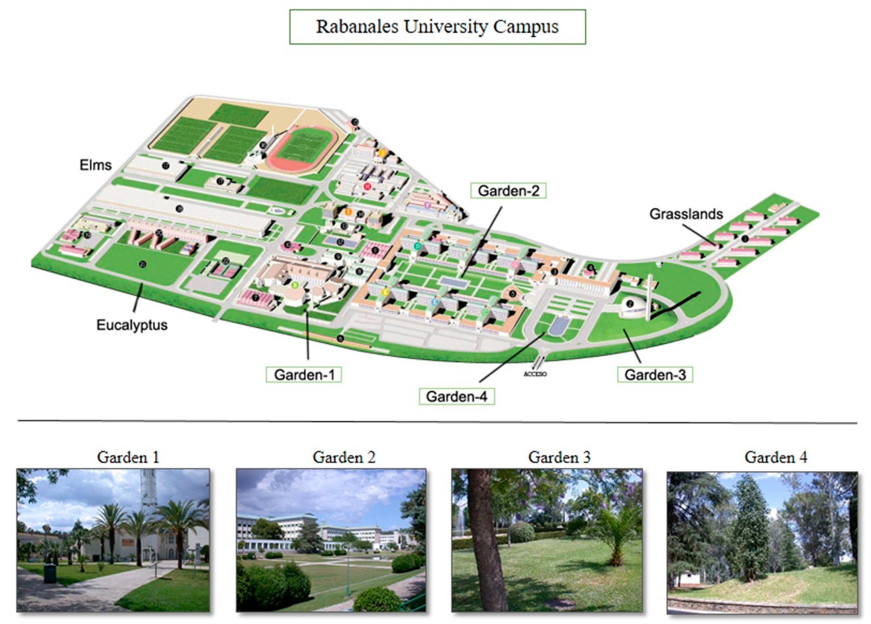 Diversity 17 00064 g001