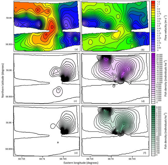 Effects of Flow Velocity on the Dynamics of Juvenile Fish Habitats in ...