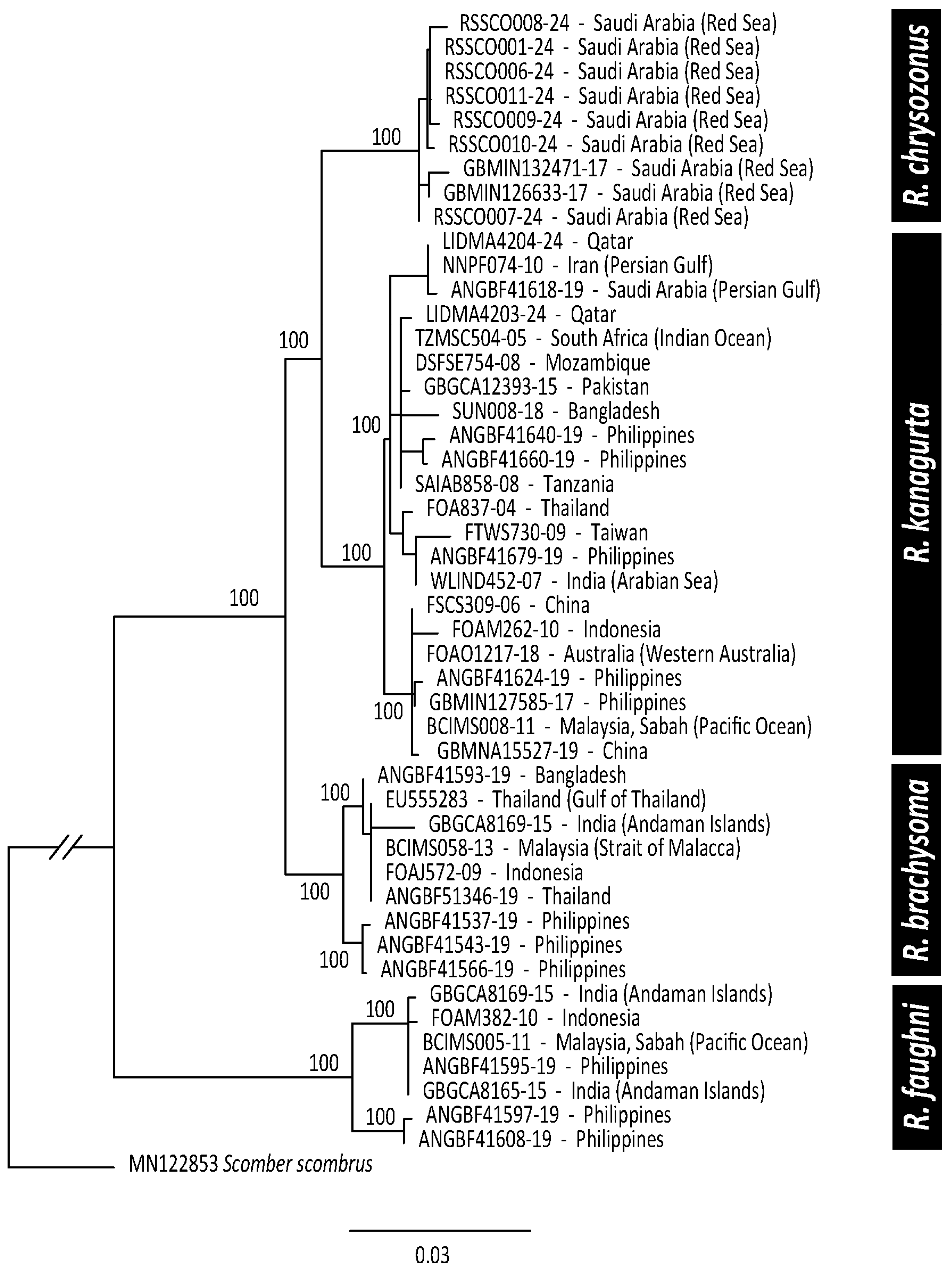 Diversity 17 00072 g001