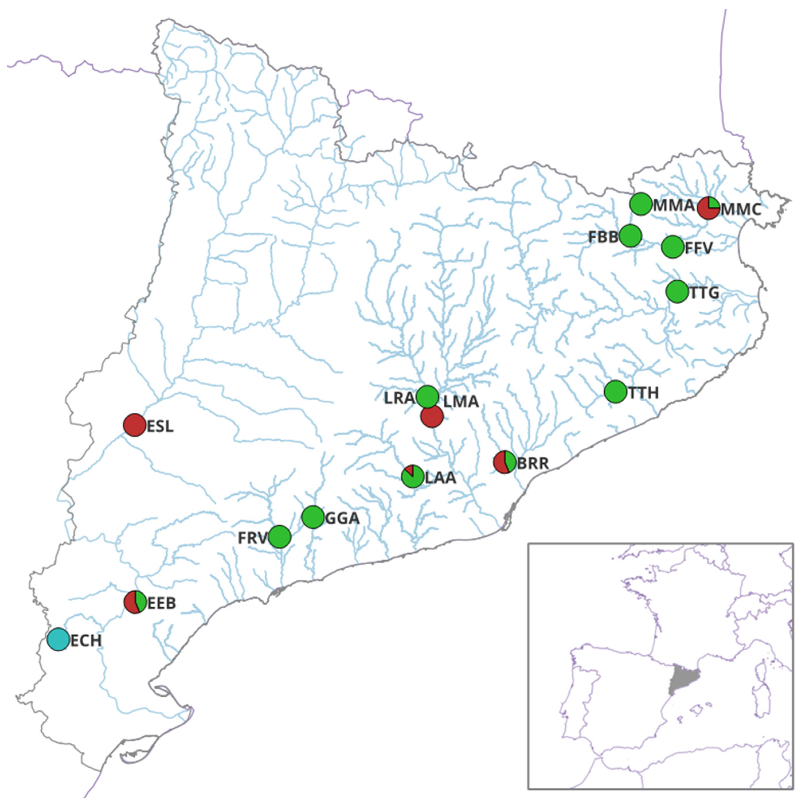 Diversity 17 00074 g001