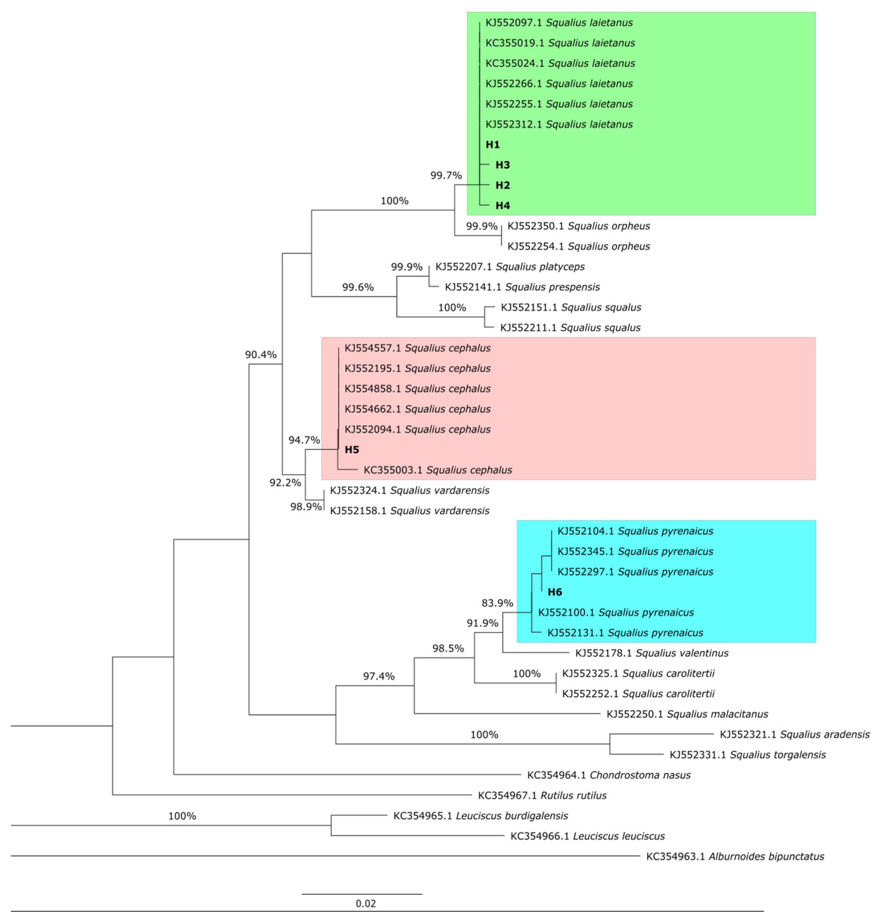 Diversity 17 00074 g003