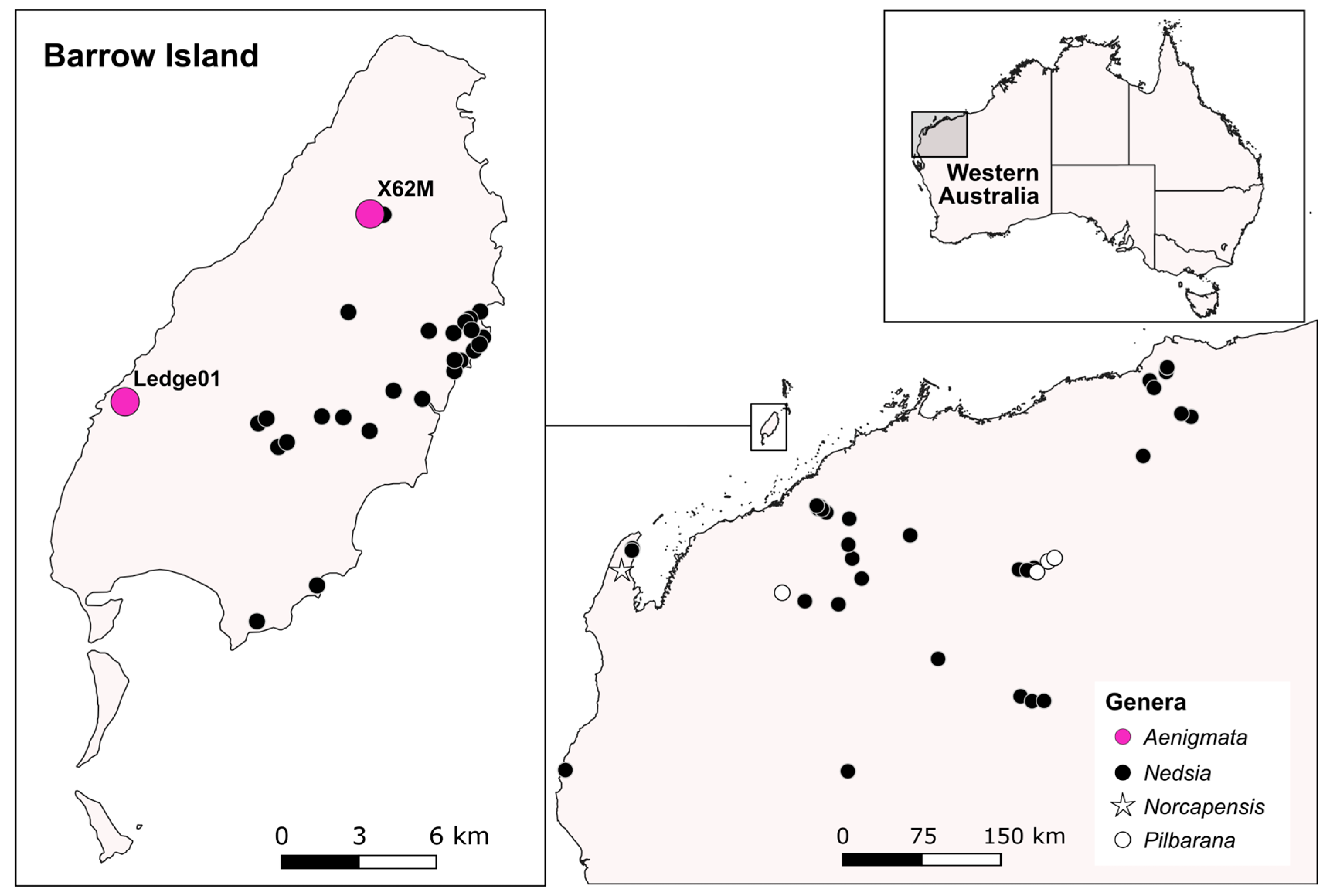 Diversity 17 00084 g001 Diversity 17 00084 g001
