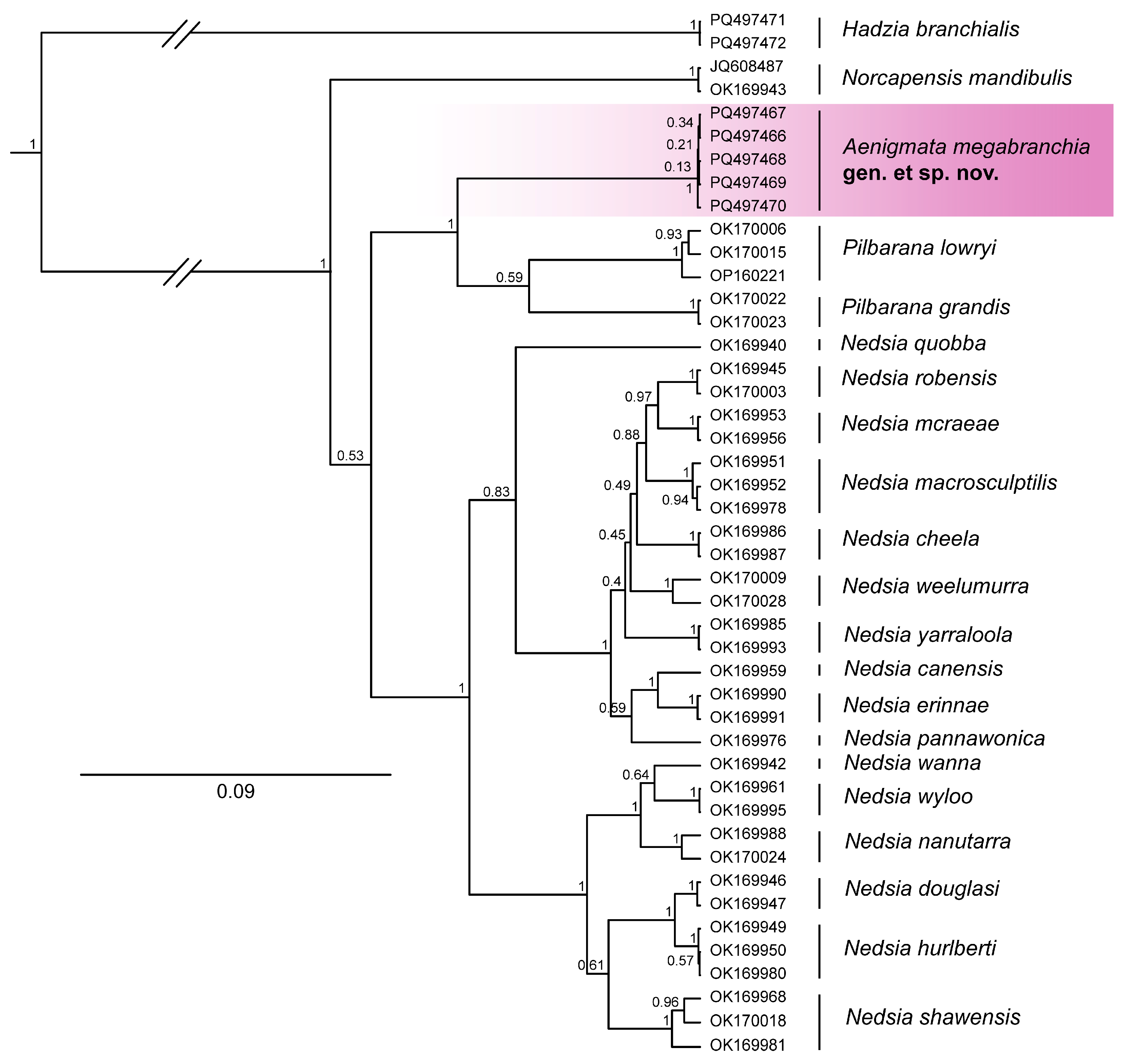 Diversity 17 00084 g002 Diversity 17 00084 g002