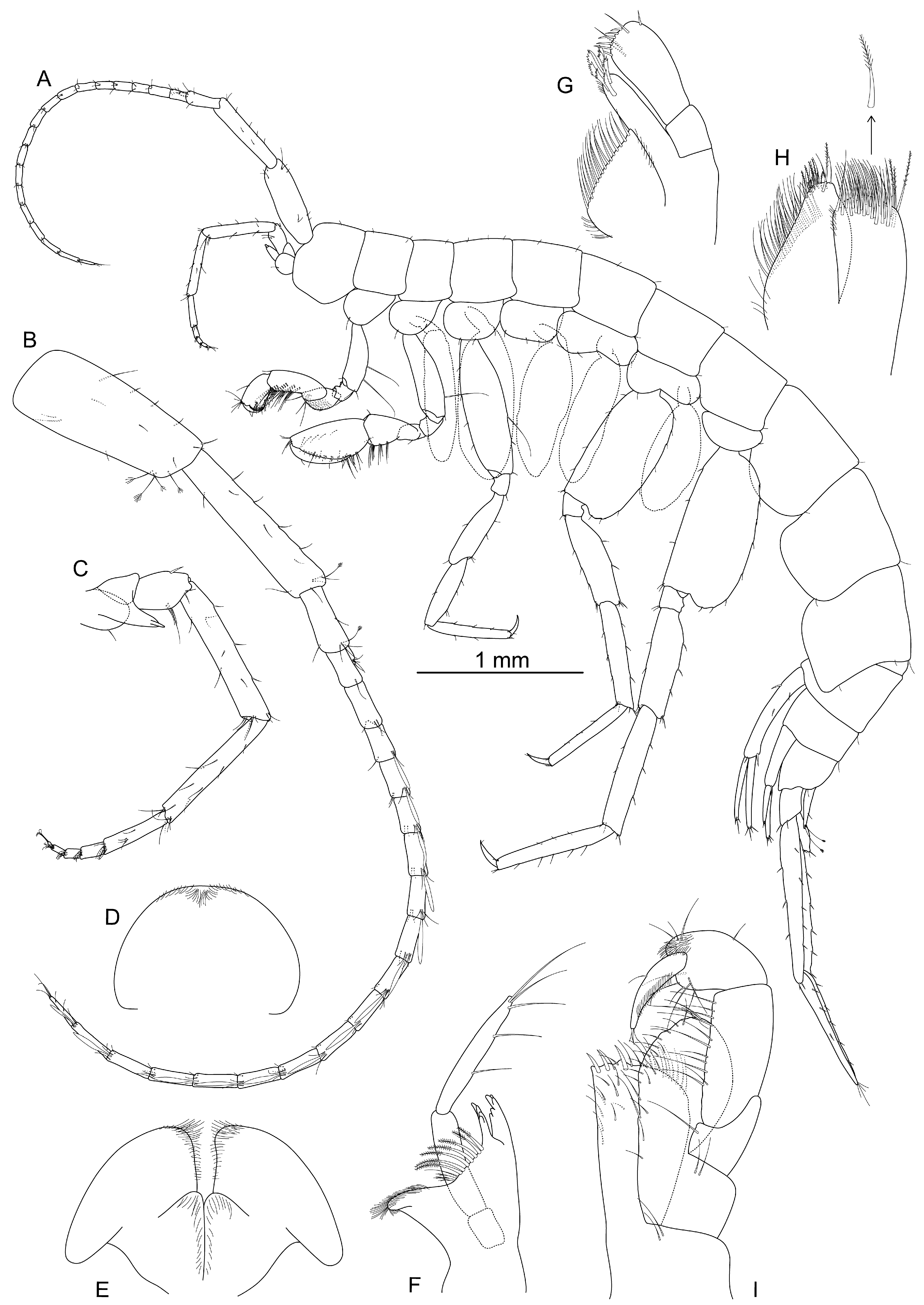 Diversity 17 00084 g003 Diversity 17 00084 g003