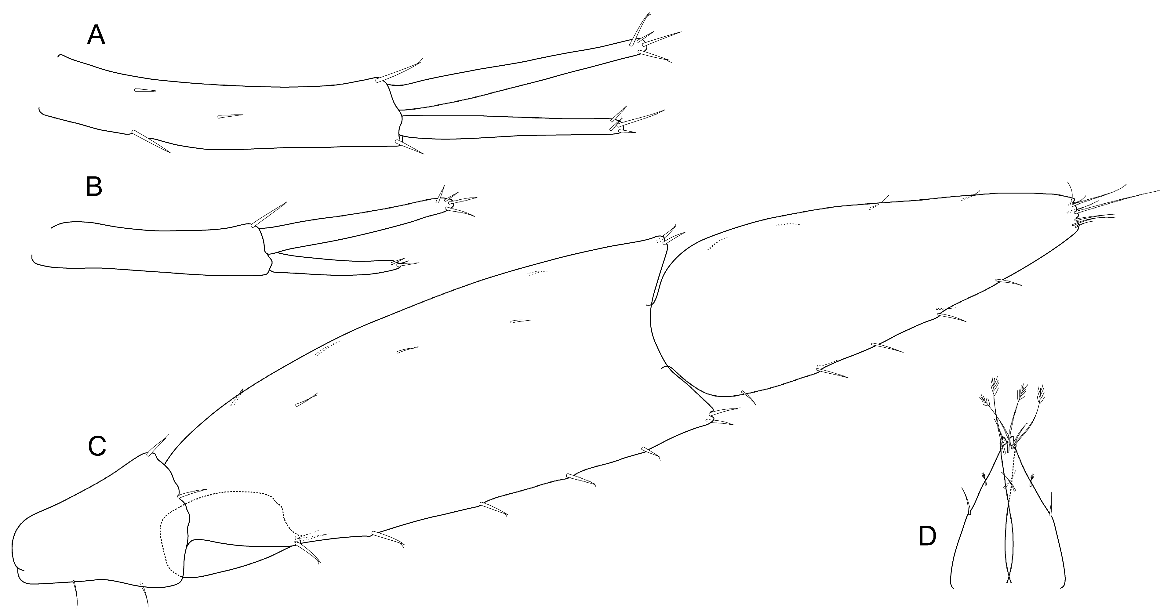 Diversity 17 00084 g005 Diversity 17 00084 g005