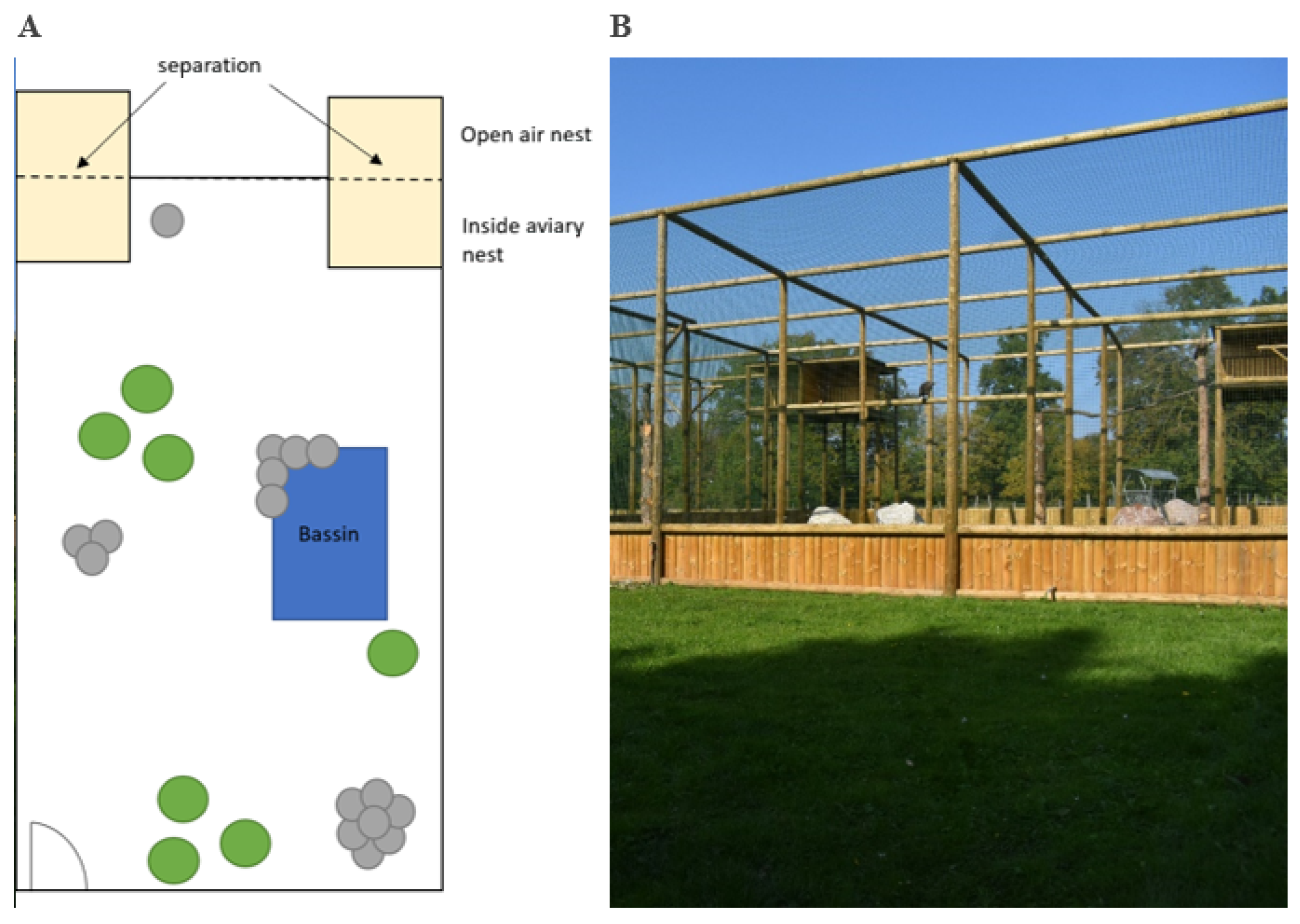 Diversity 17 00089 g001