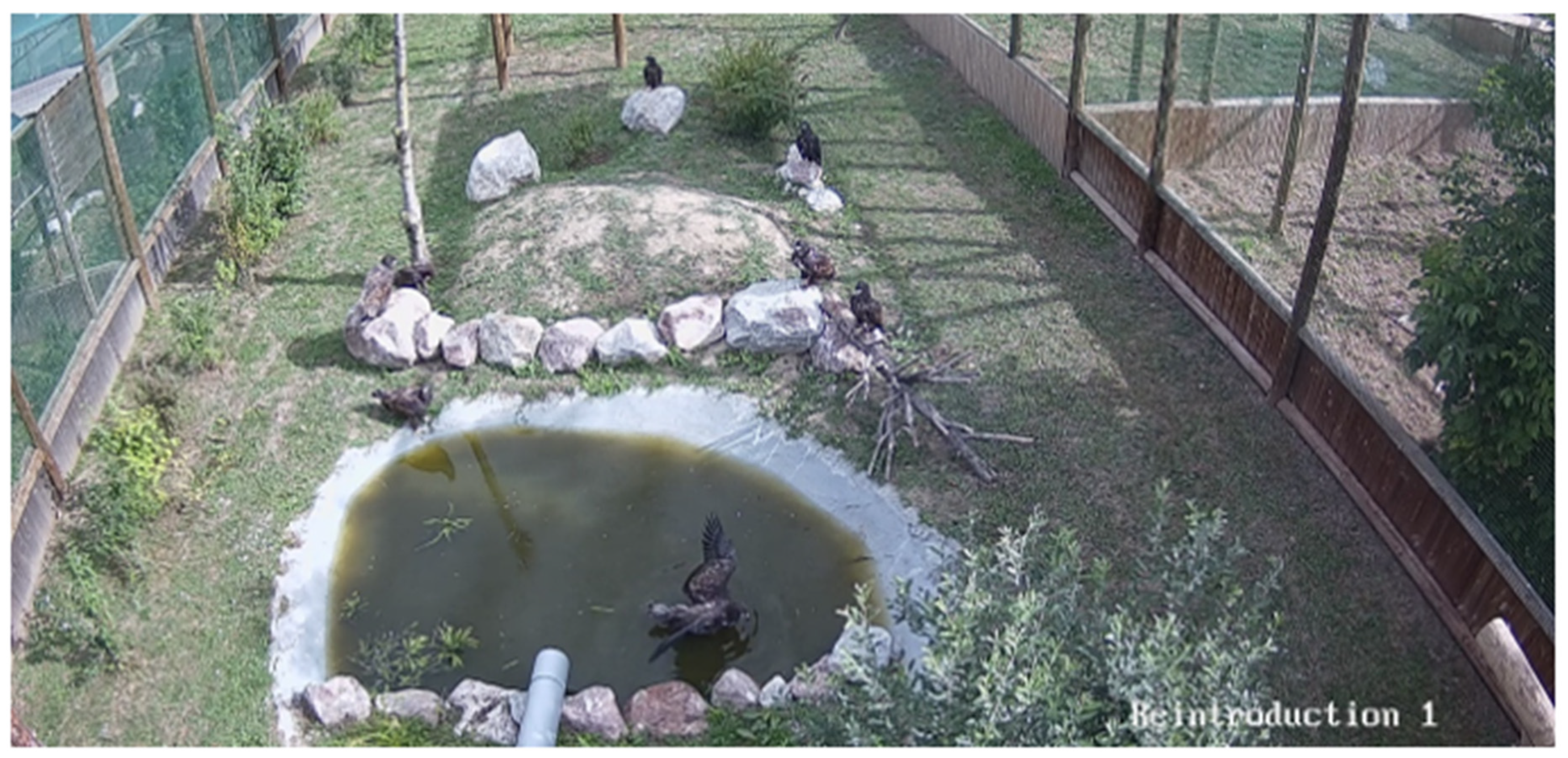 Diversity 17 00089 g008