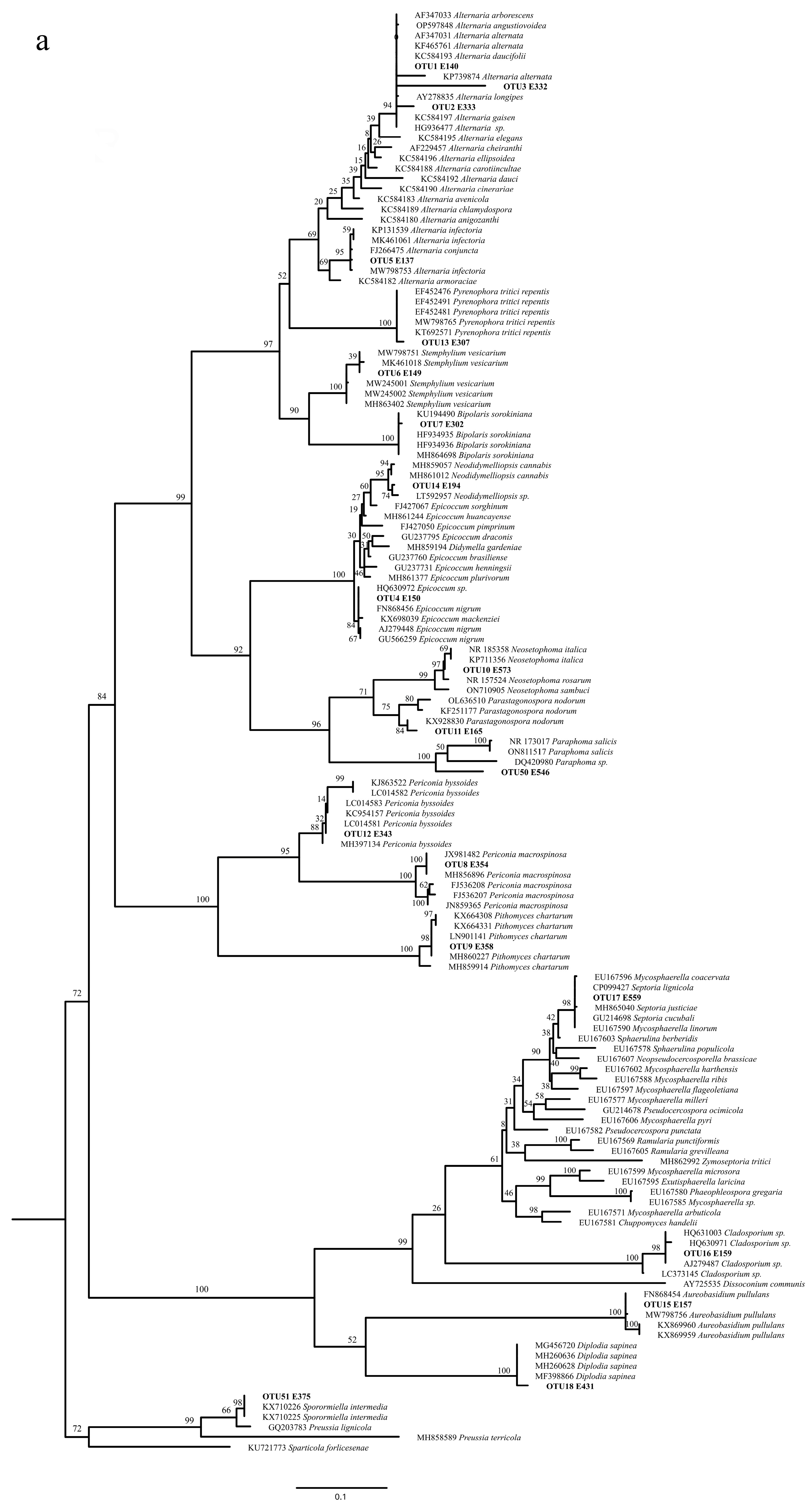 Diversity 17 00094 g001a