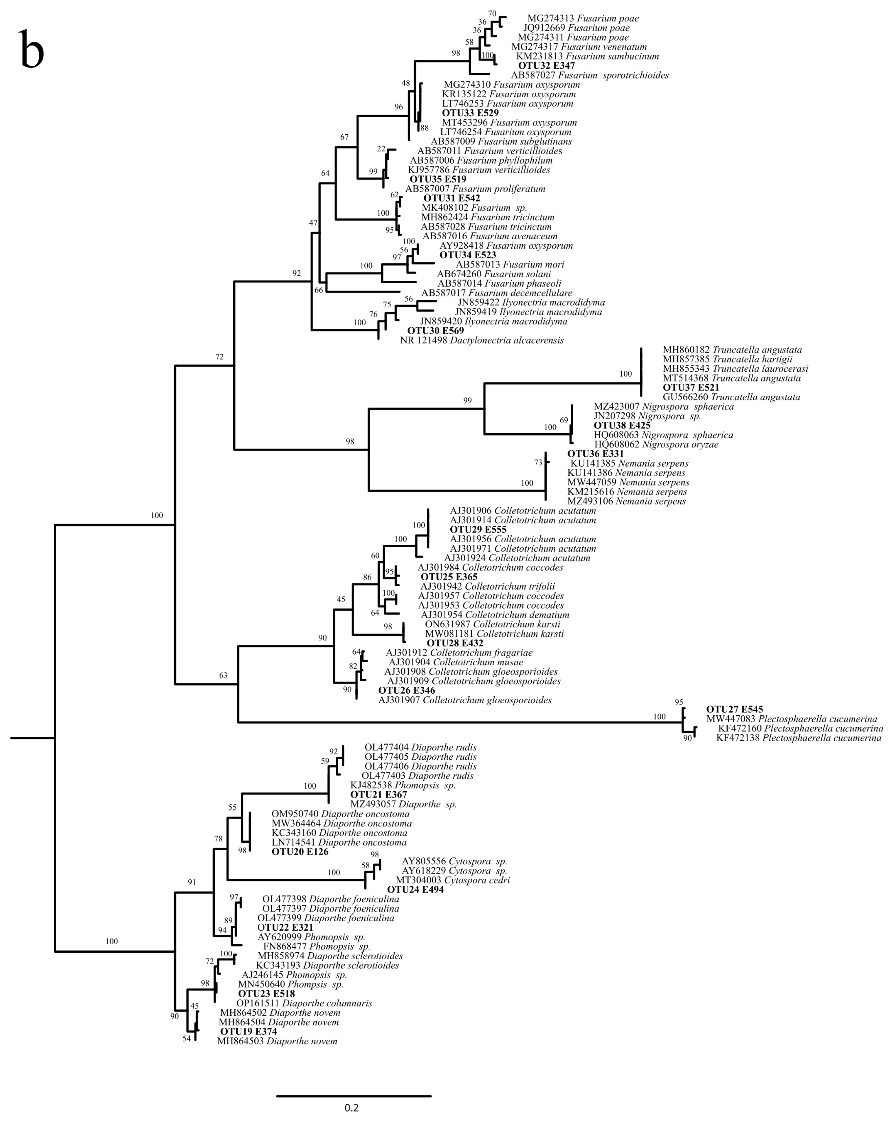 Diversity 17 00094 g001b