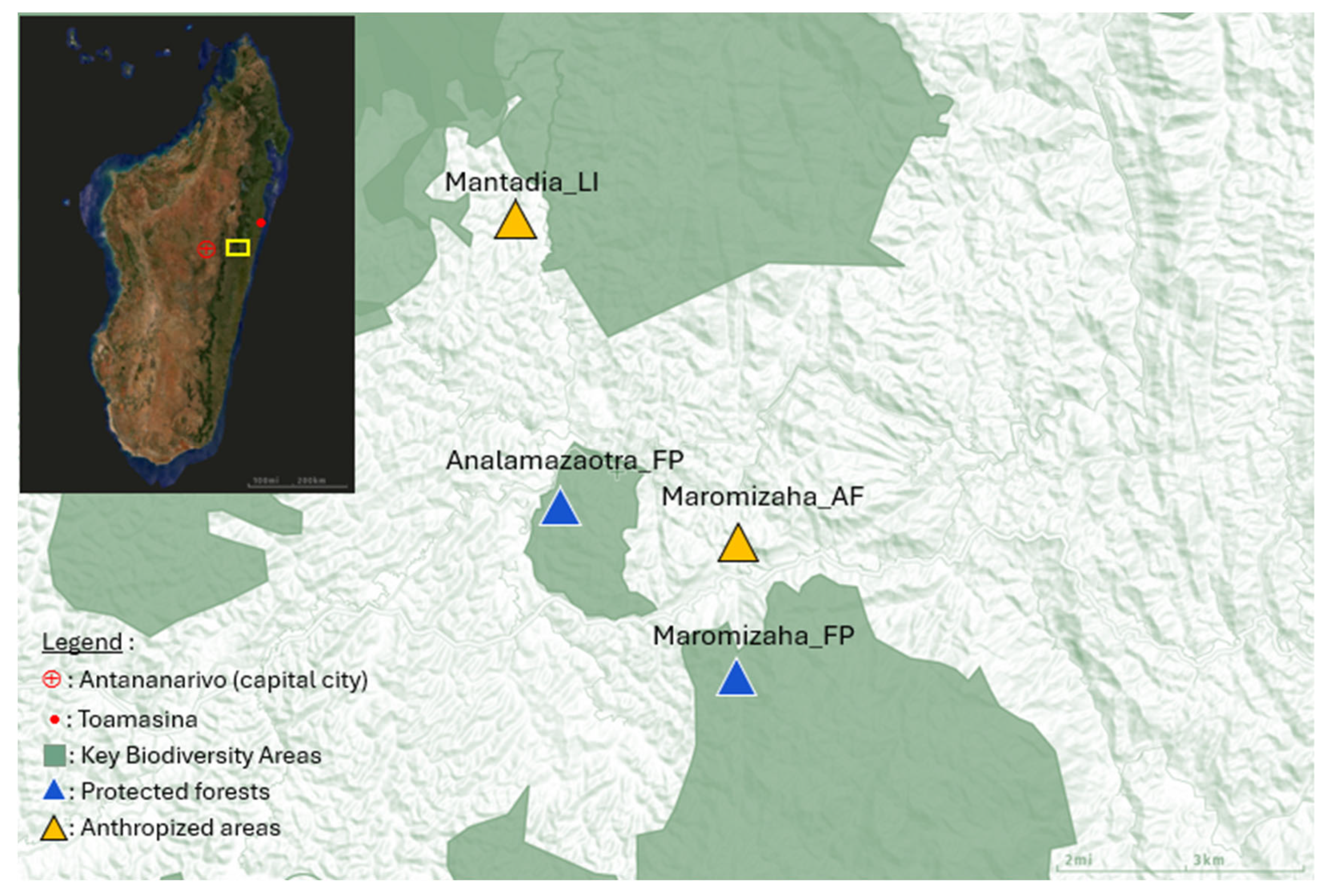 Diversity 17 00095 g001