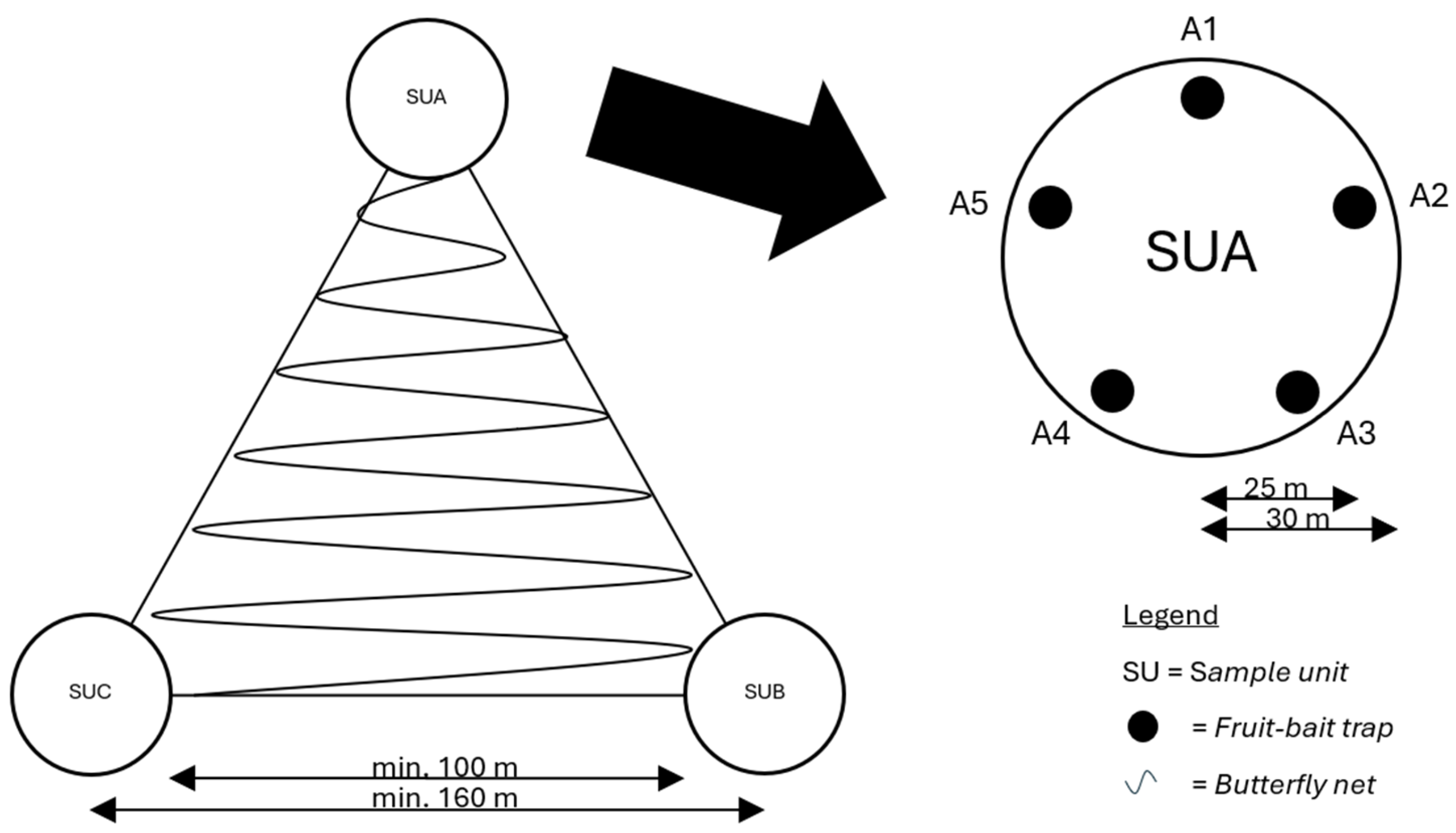 Diversity 17 00095 g002