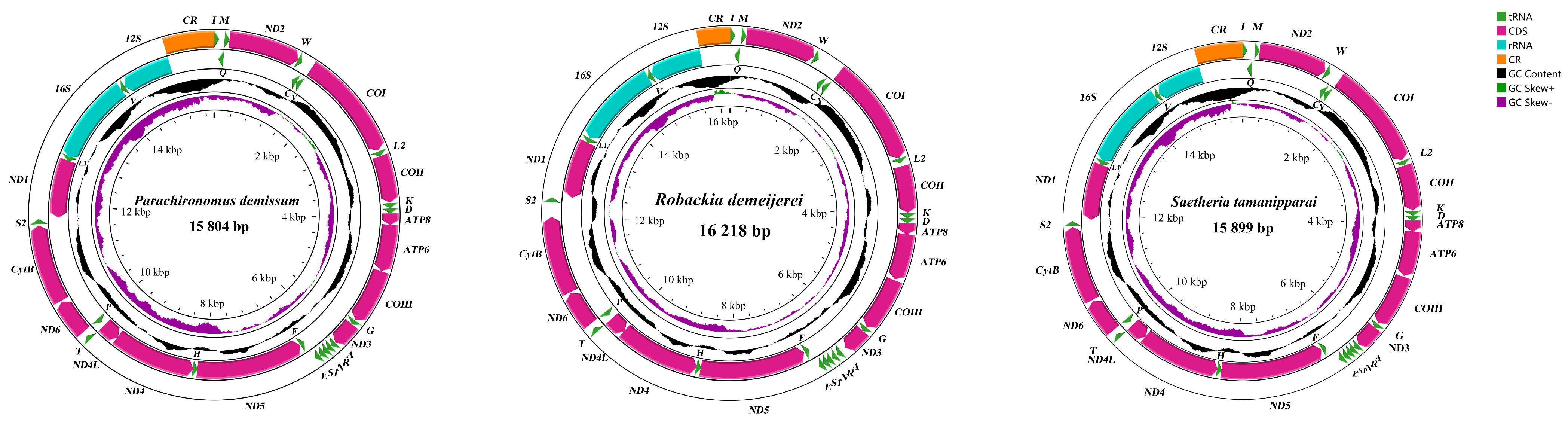 Diversity 17 00096 g001