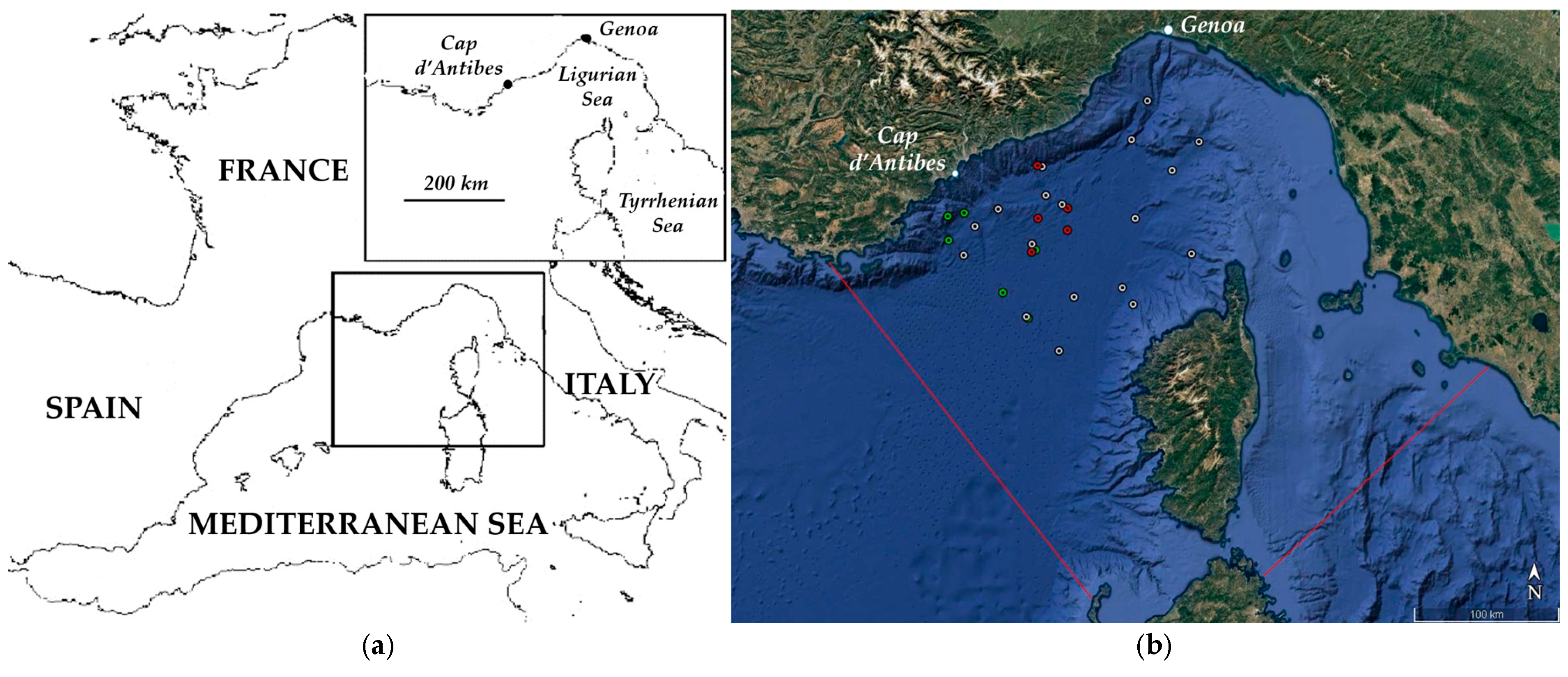 Diversity 17 00097 g001 Diversity 17 00097 g001