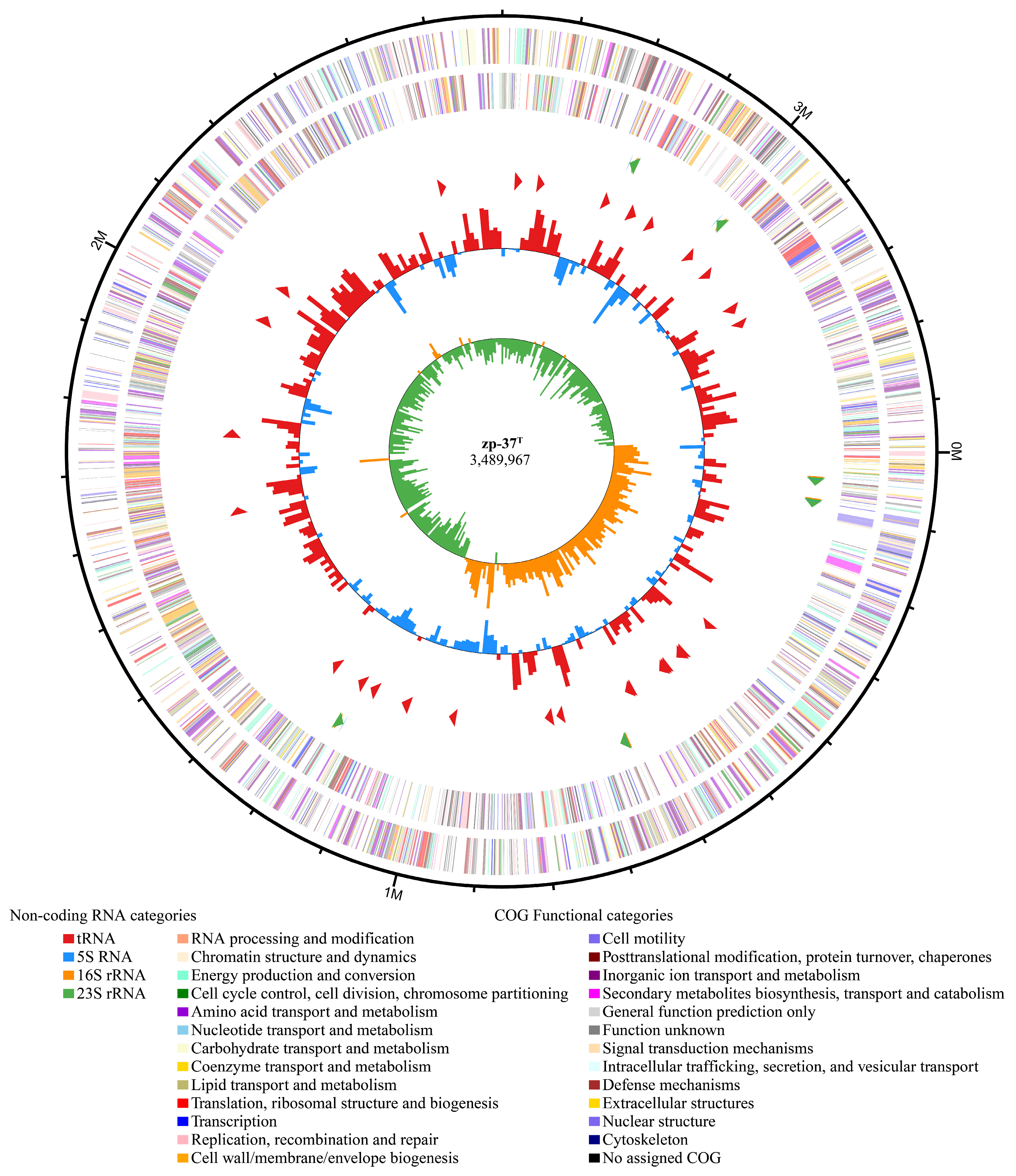 Diversity 17 00098 g004