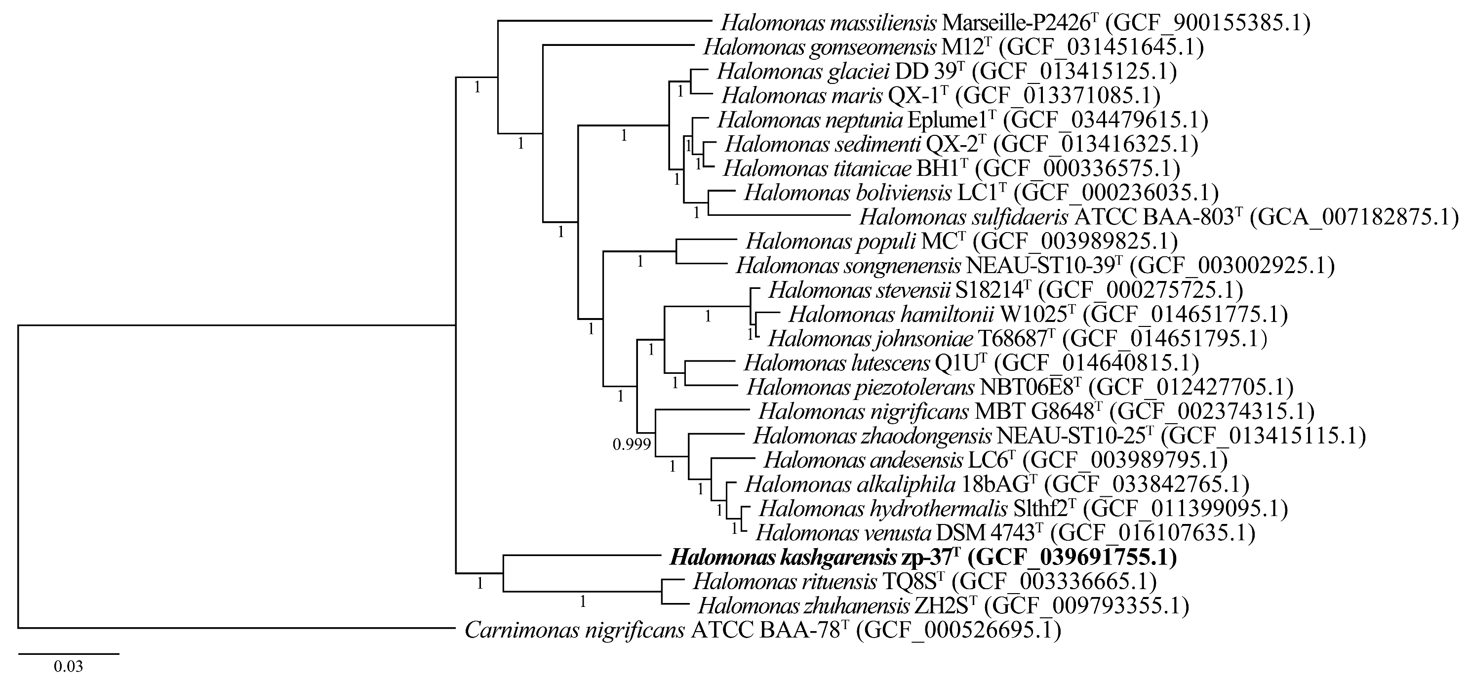 Diversity 17 00098 g005