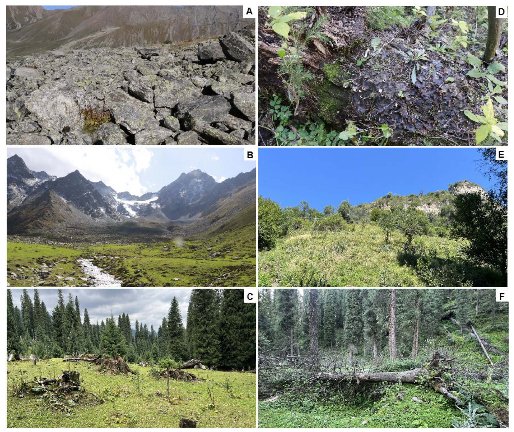 Diversity 17 00102 g002