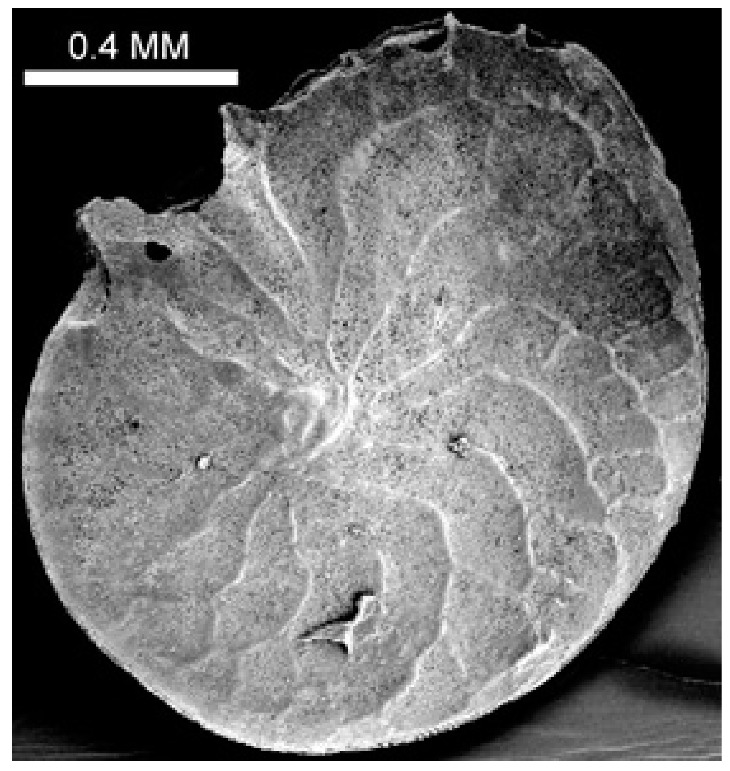 Diversity 17 00110 g001