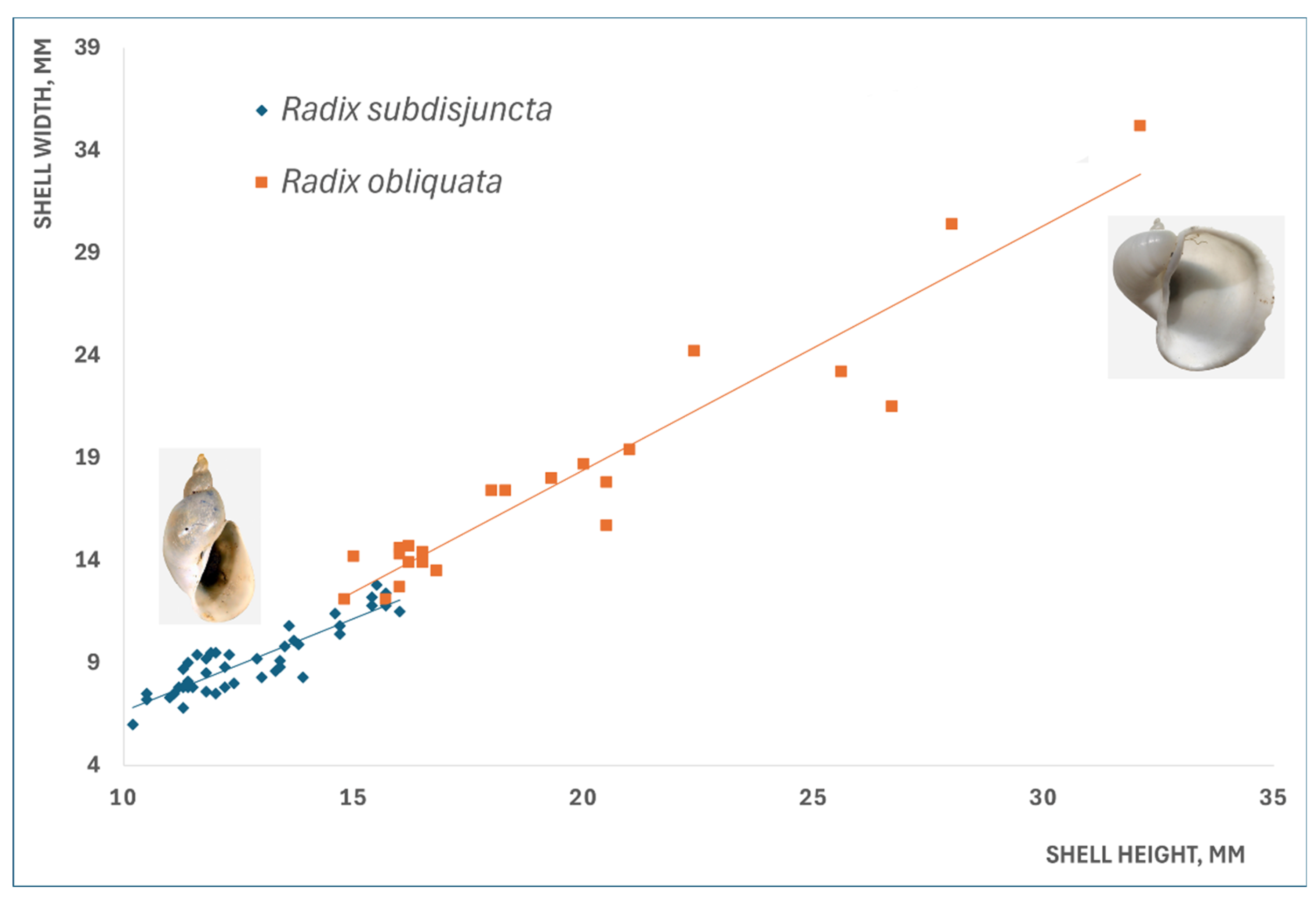 Diversity 17 00112 g008 Diversity 17 00112 g008