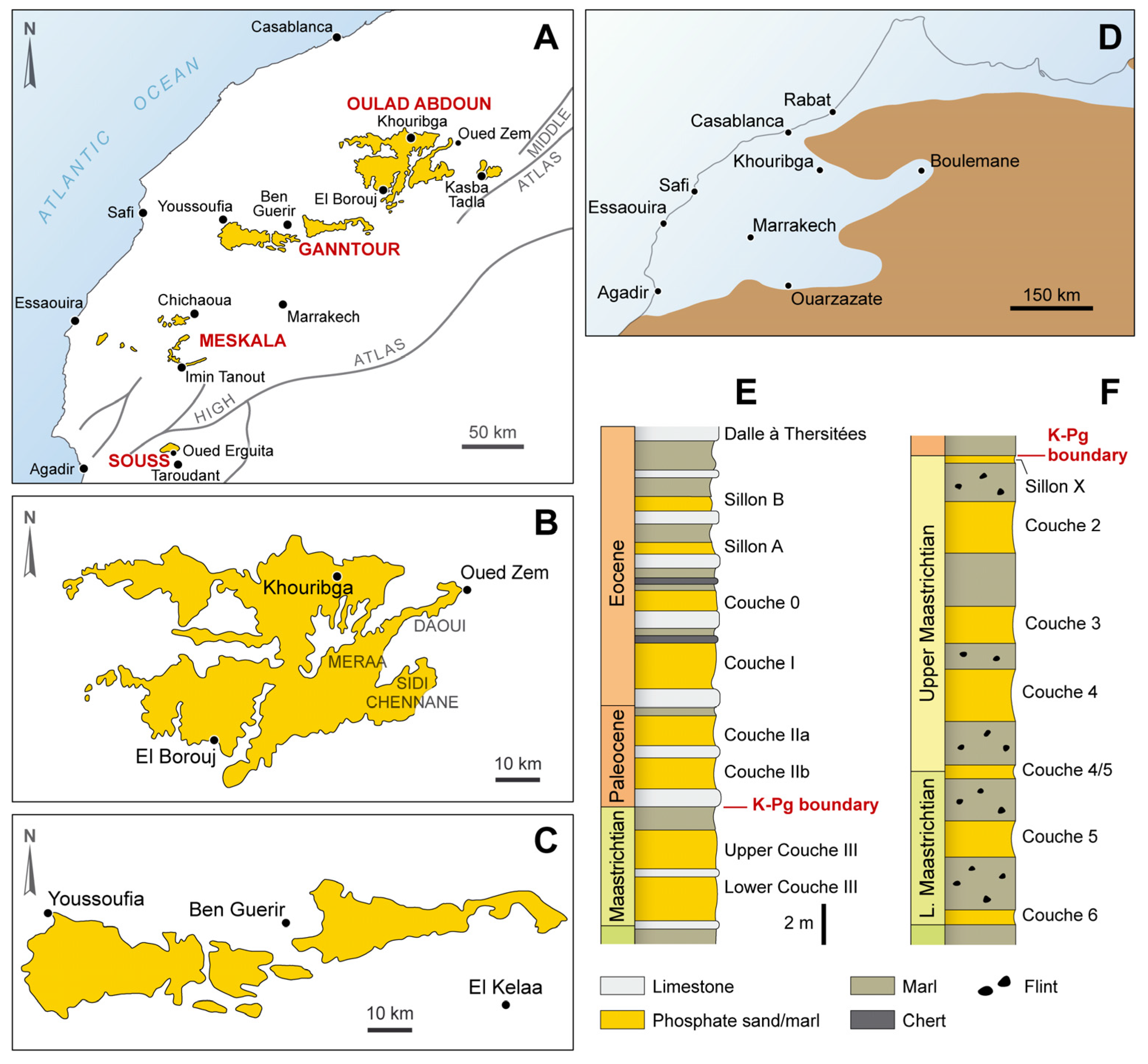 Diversity 17 00114 g001