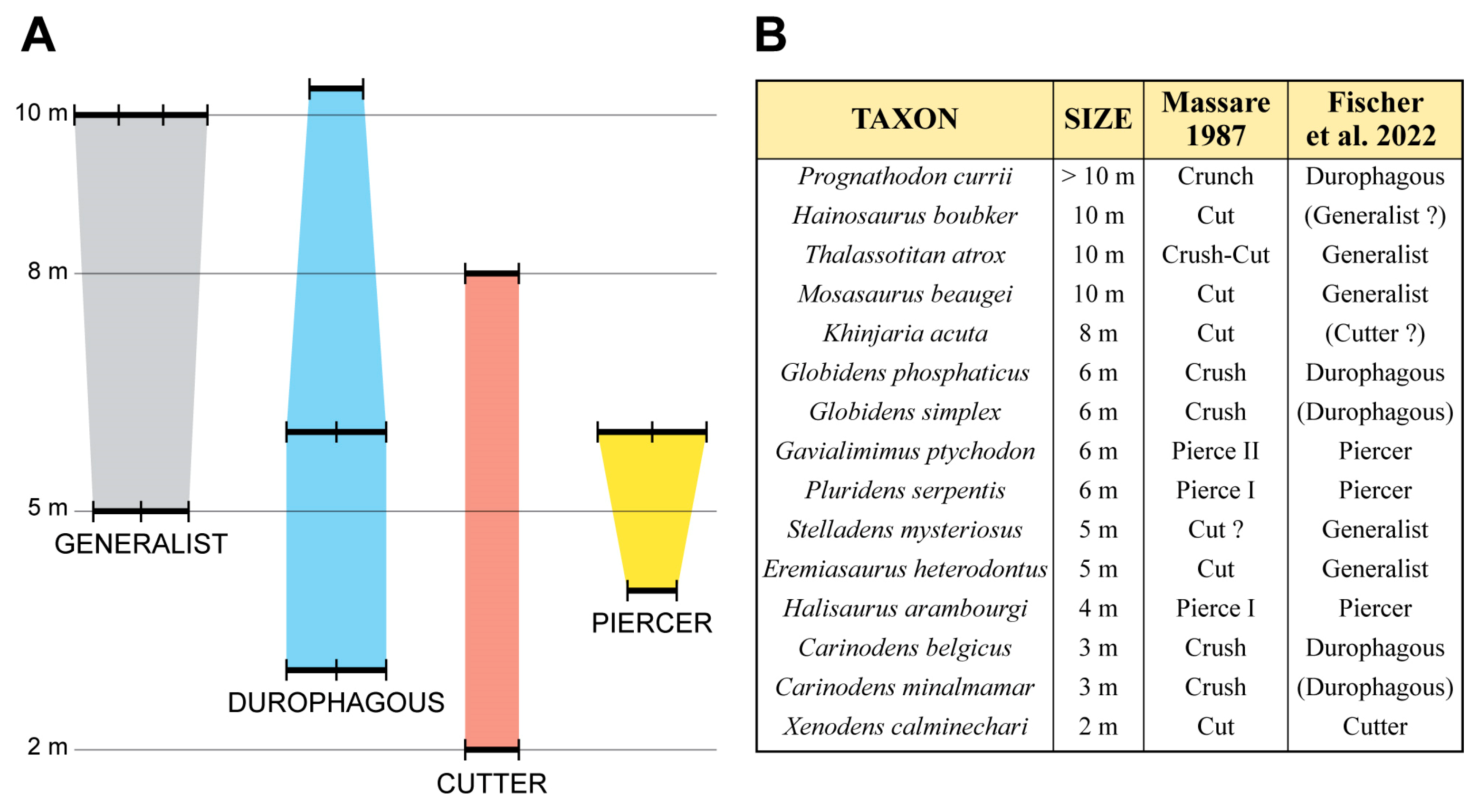 Diversity 17 00114 g007