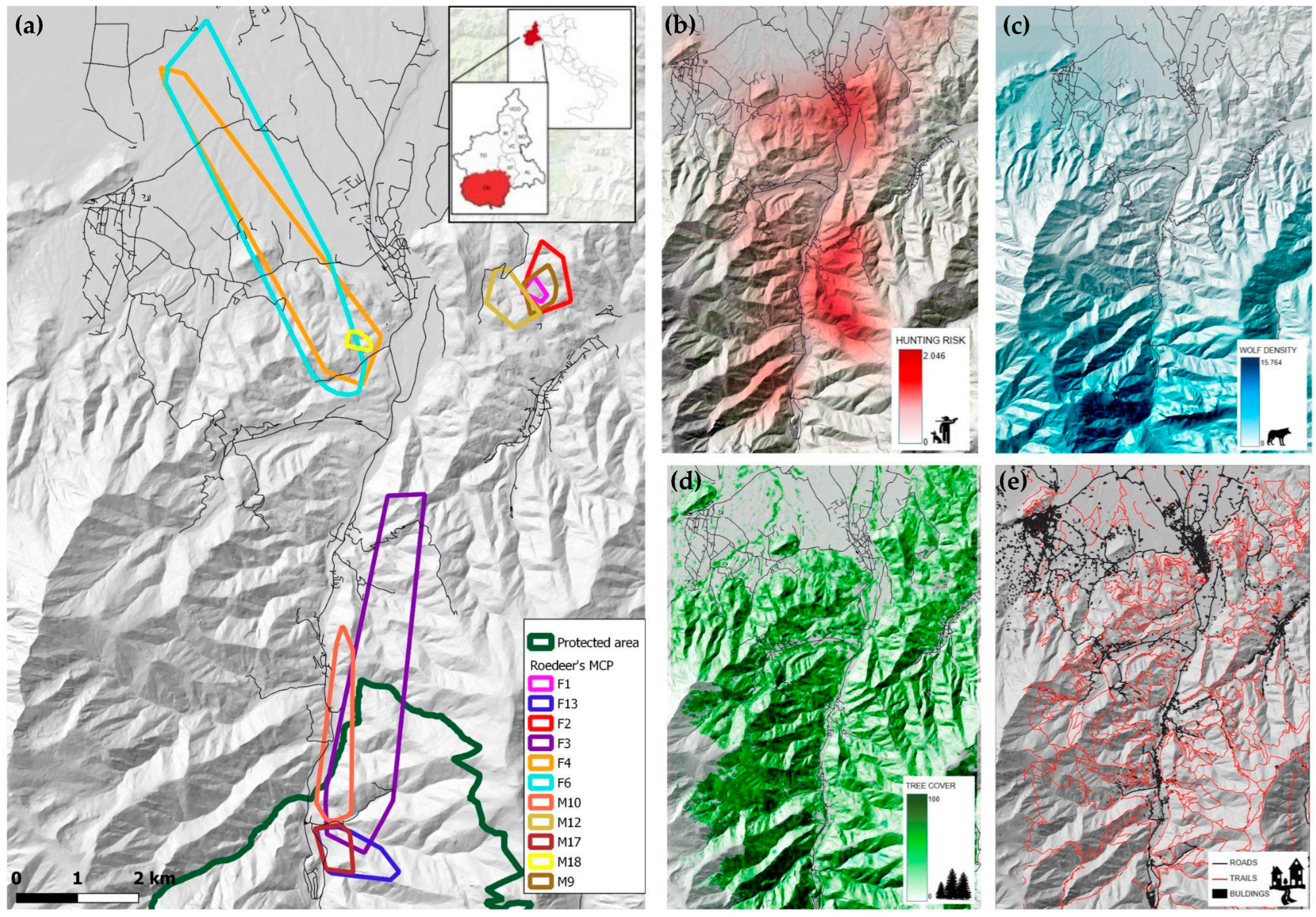 Diversity 17 00115 g001