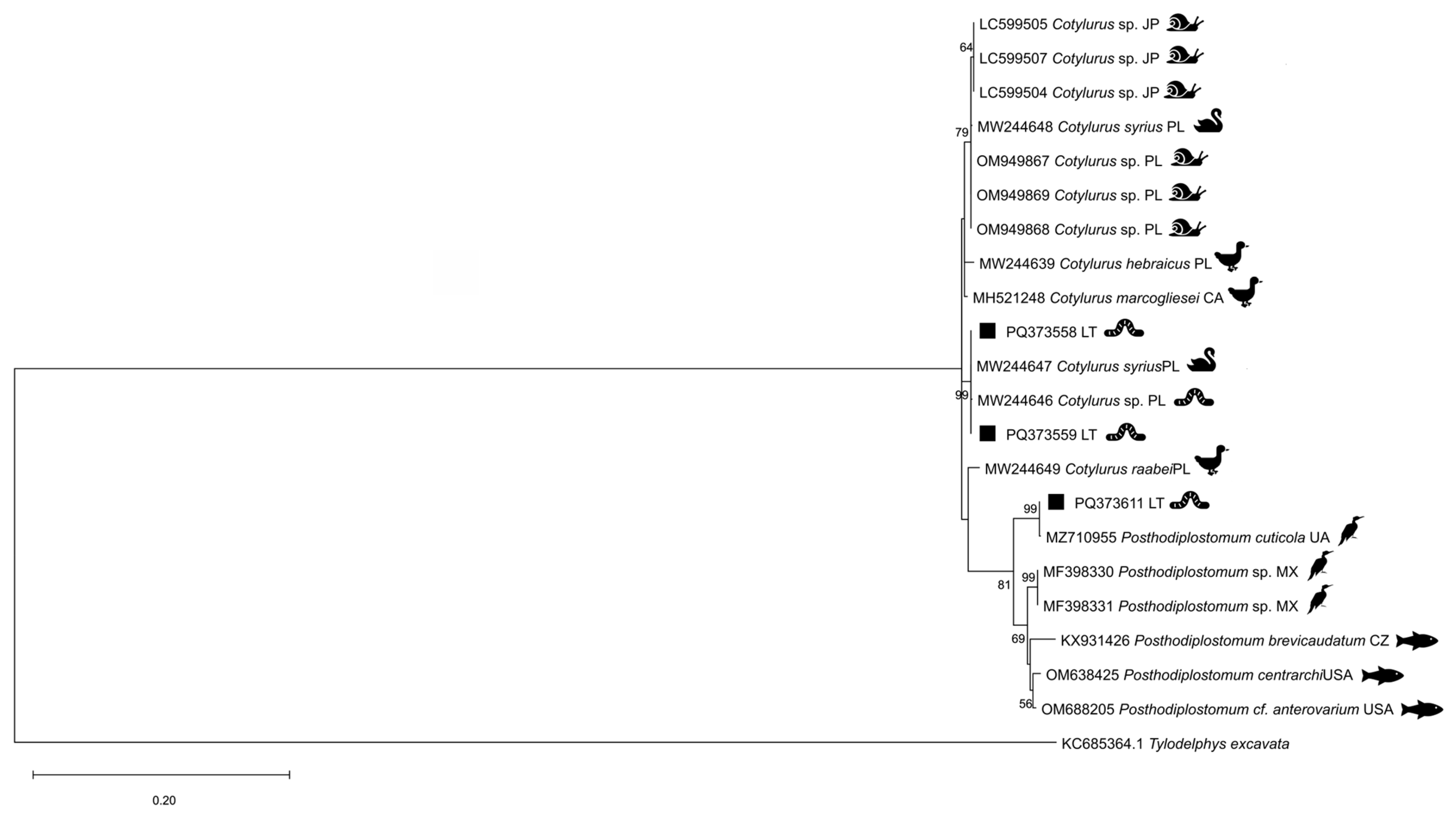 Diversity 17 00117 g001