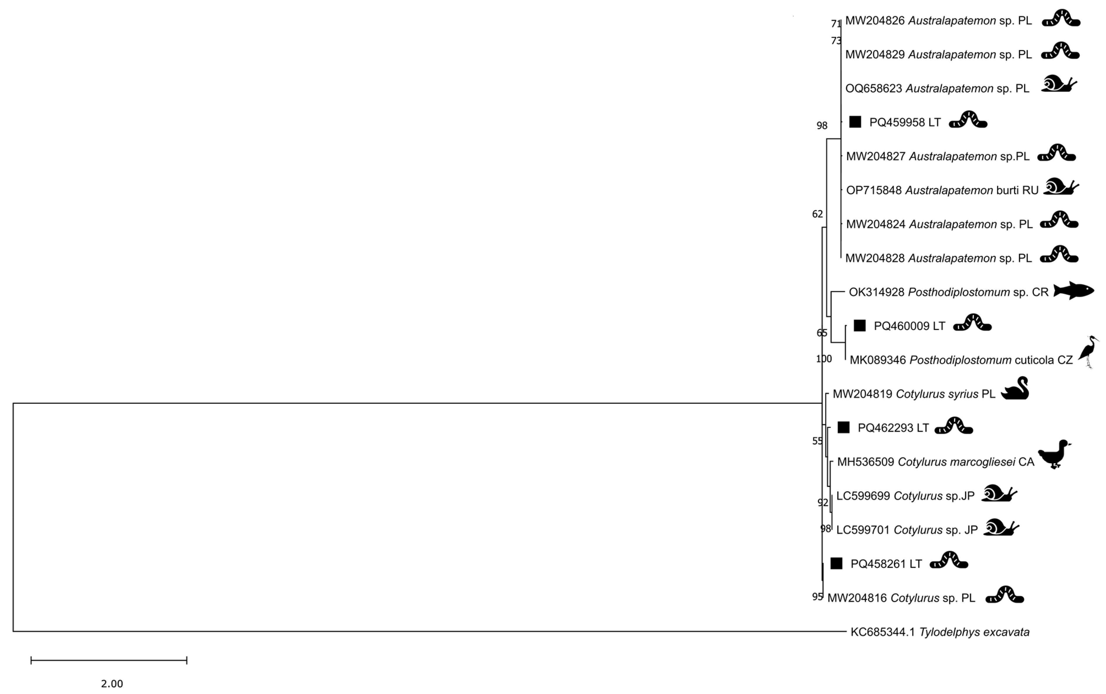 Diversity 17 00117 g002