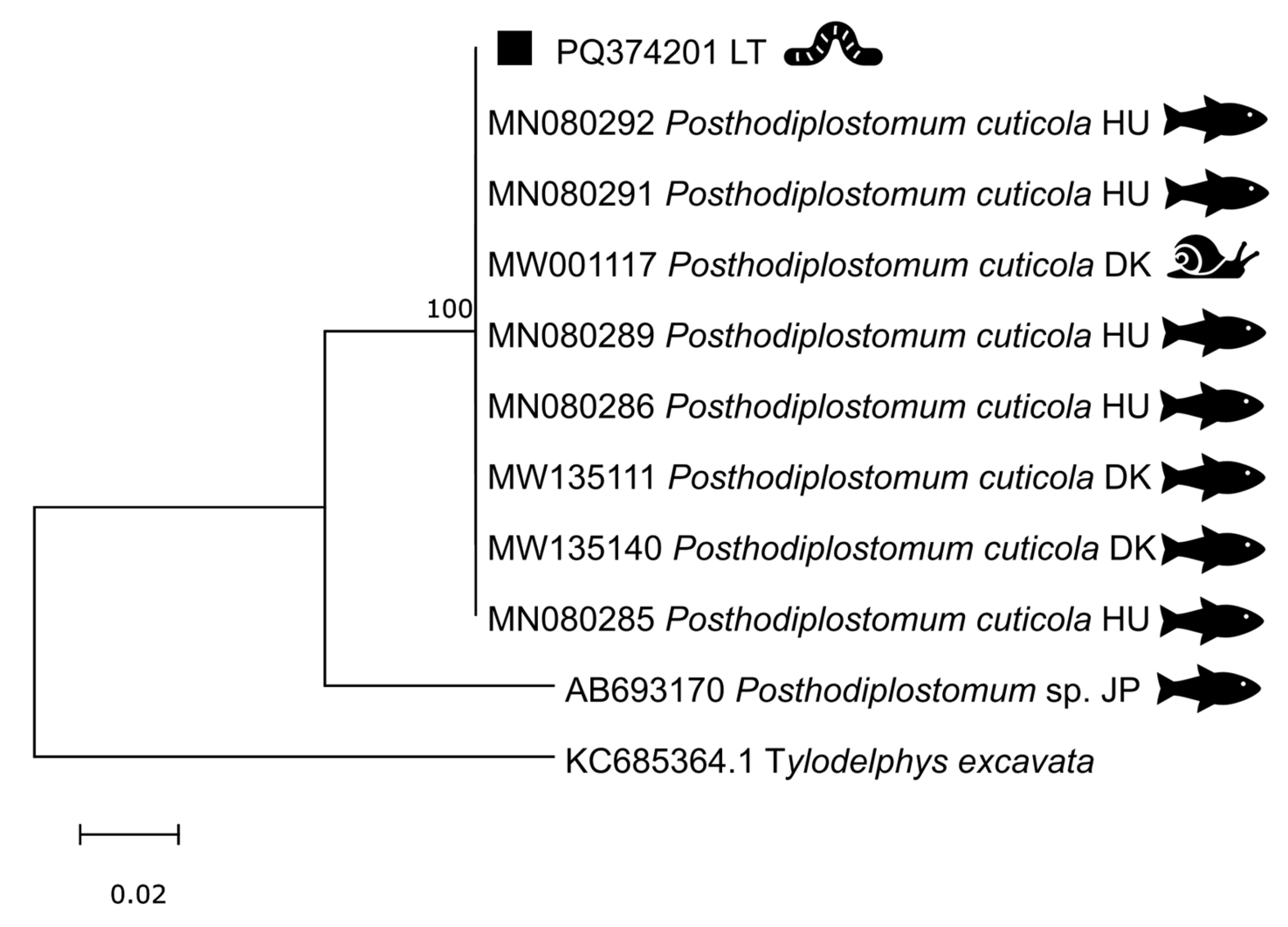 Diversity 17 00117 g003