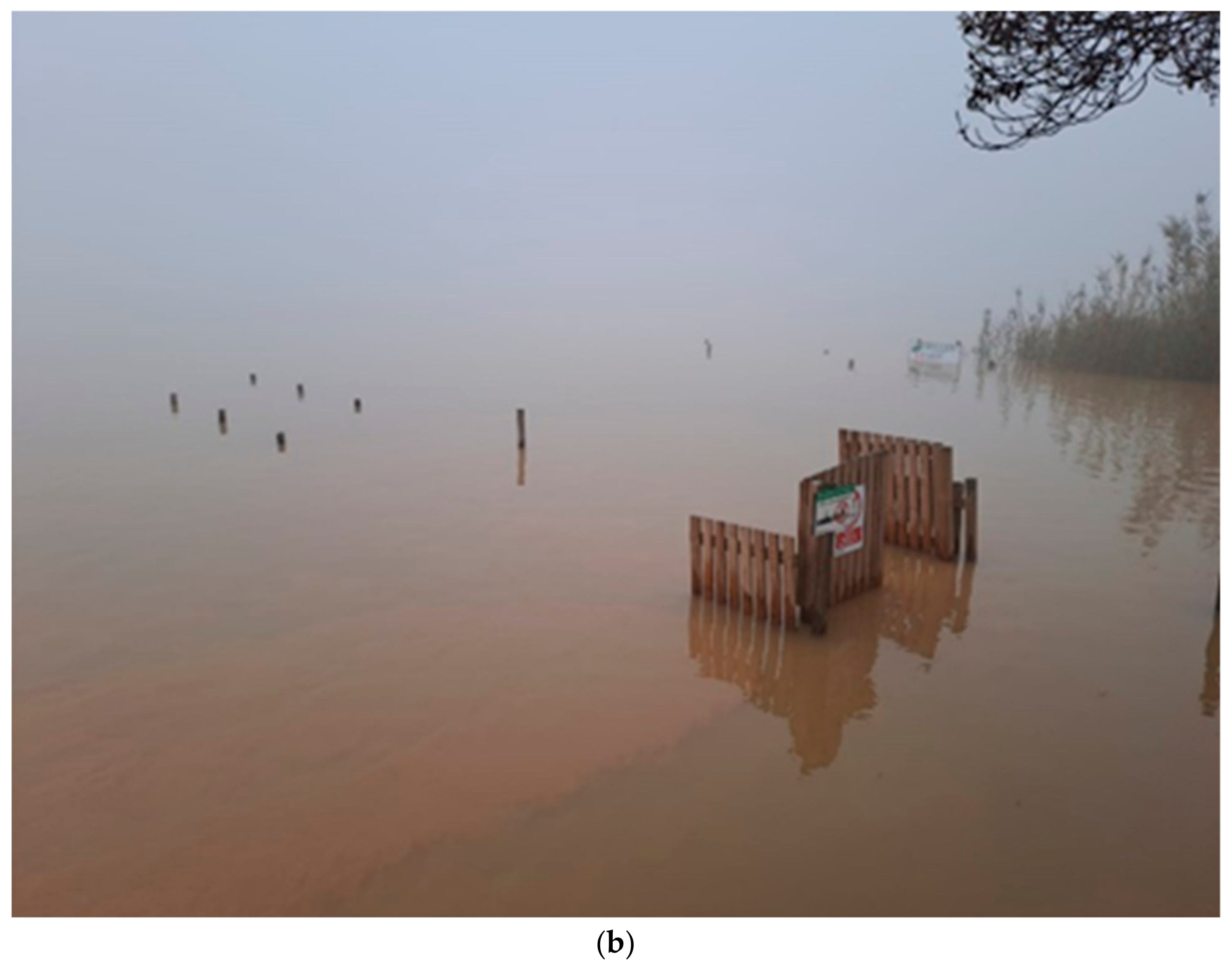 Diversity 17 00119 g0a1b Diversity 17 00119 g0a1b