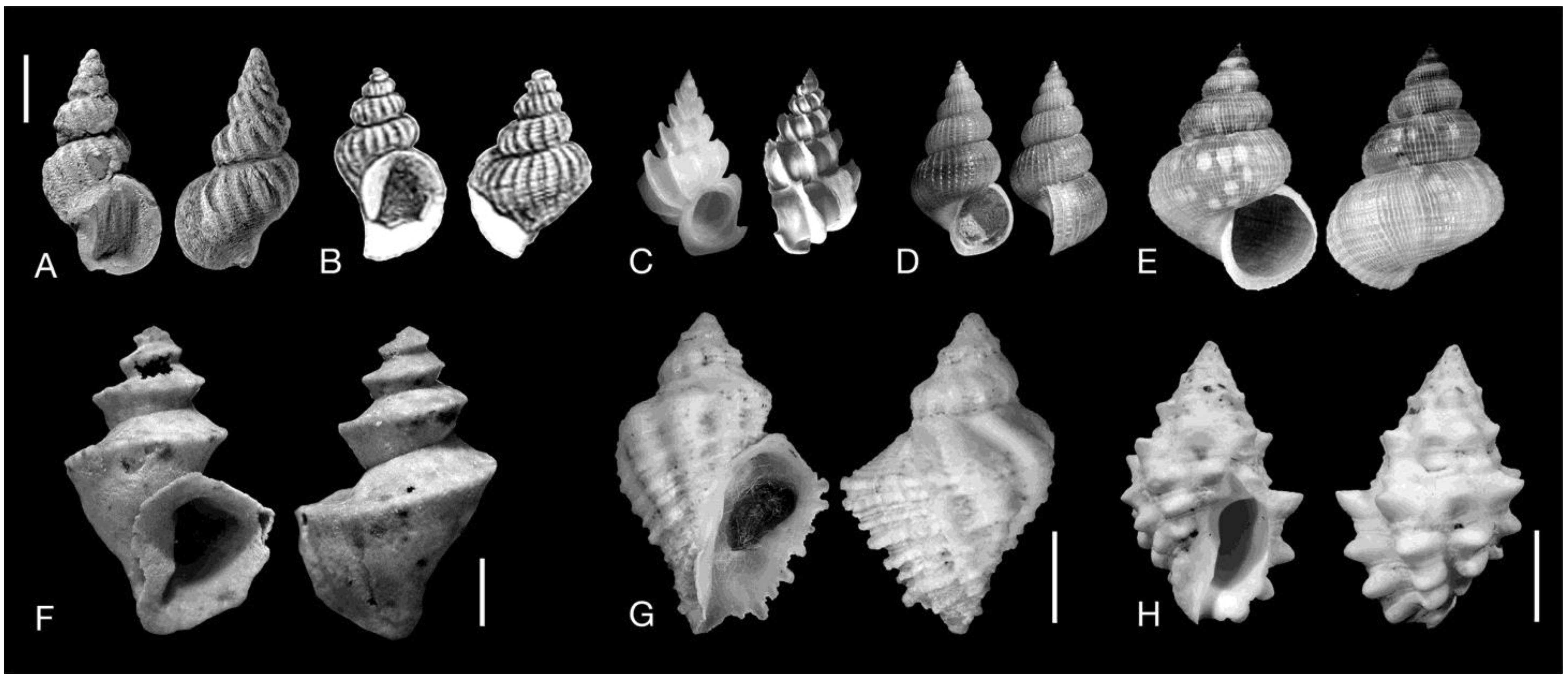 Diversity 17 00120 g011 Diversity 17 00120 g011