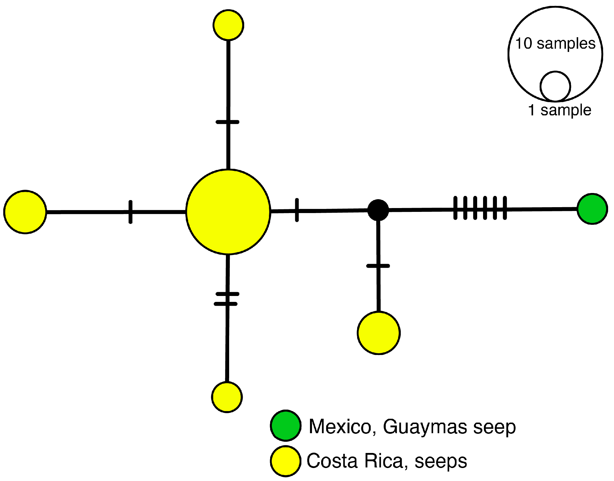 Diversity 17 00121 g003