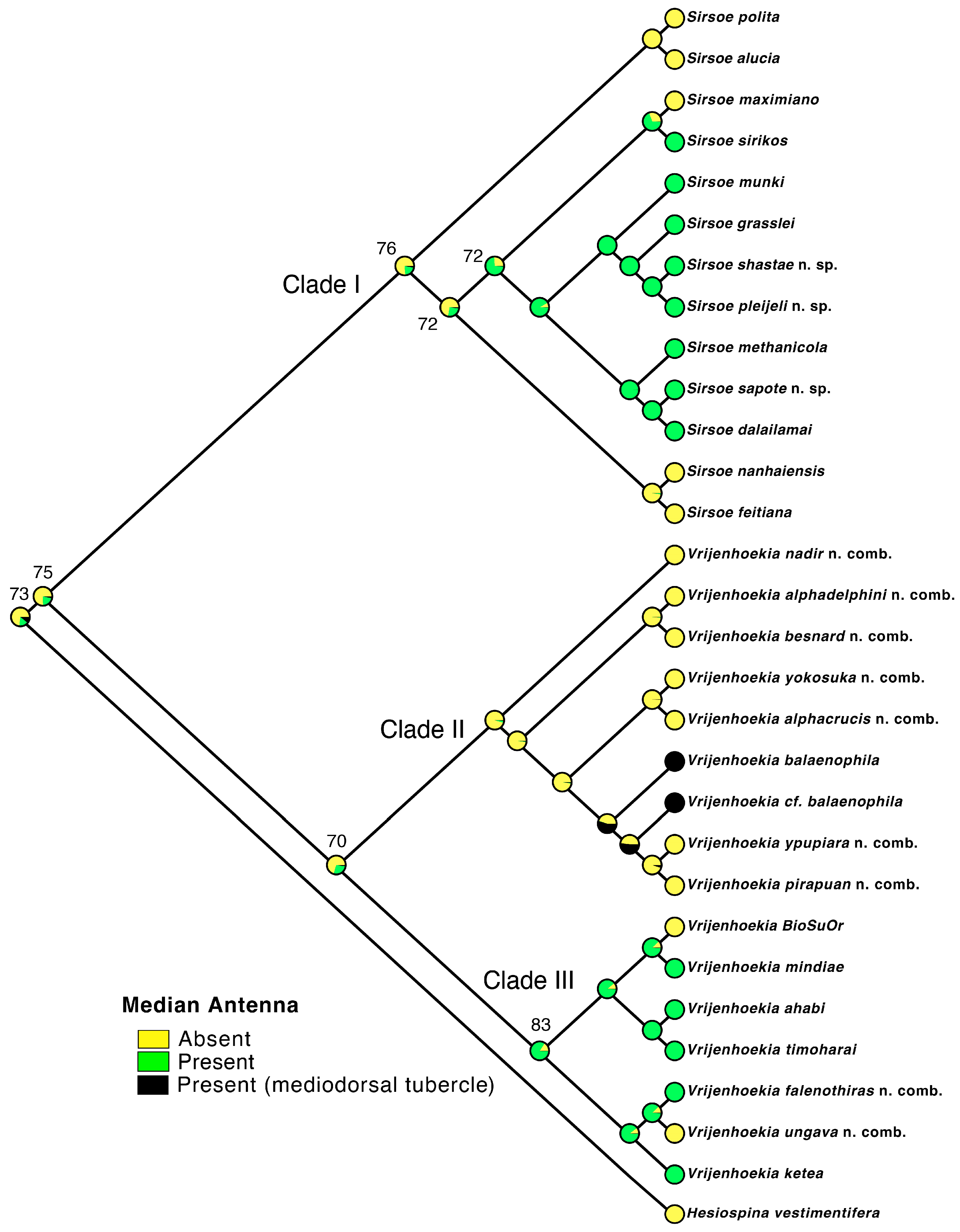 Diversity 17 00121 g004