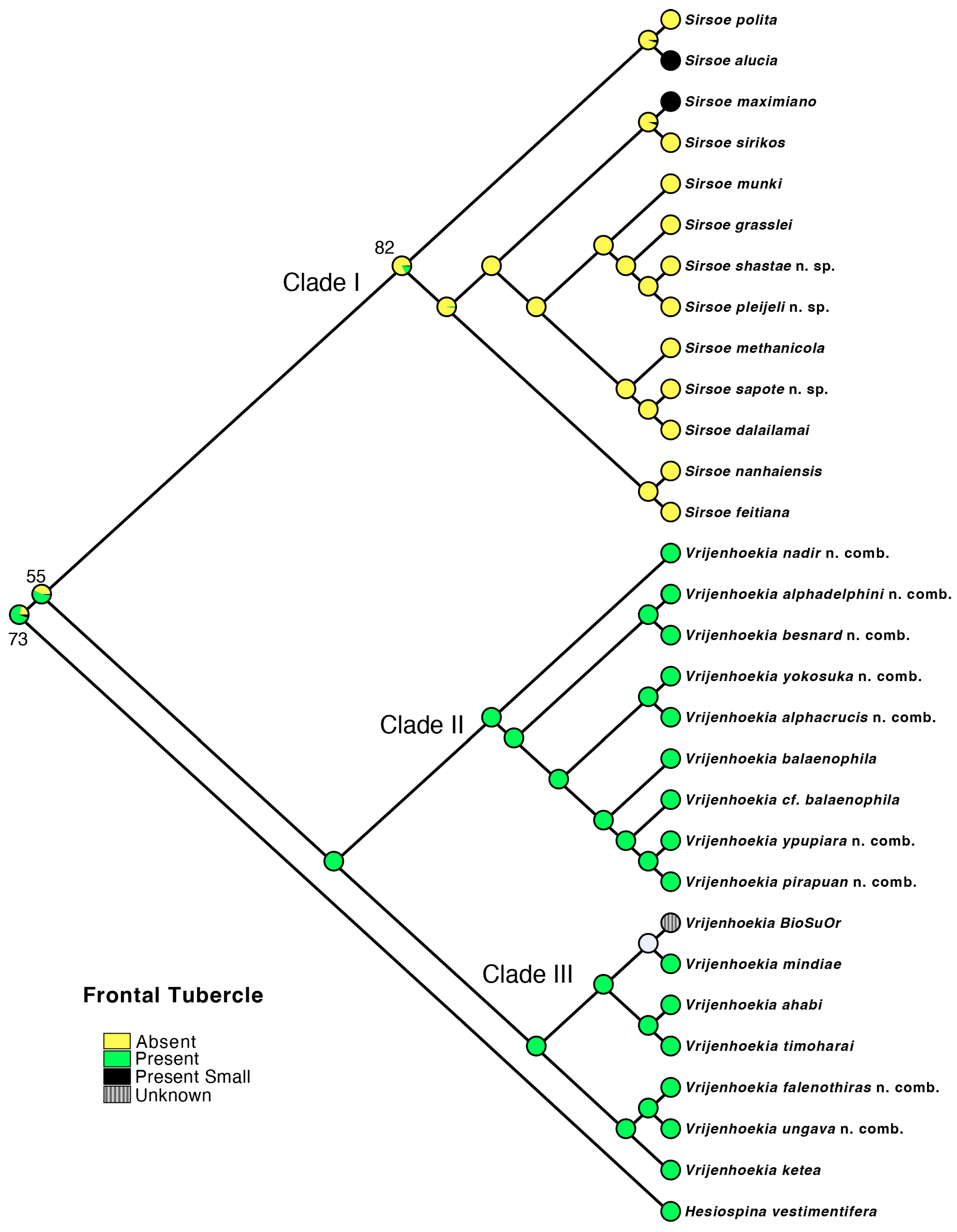 Diversity 17 00121 g005