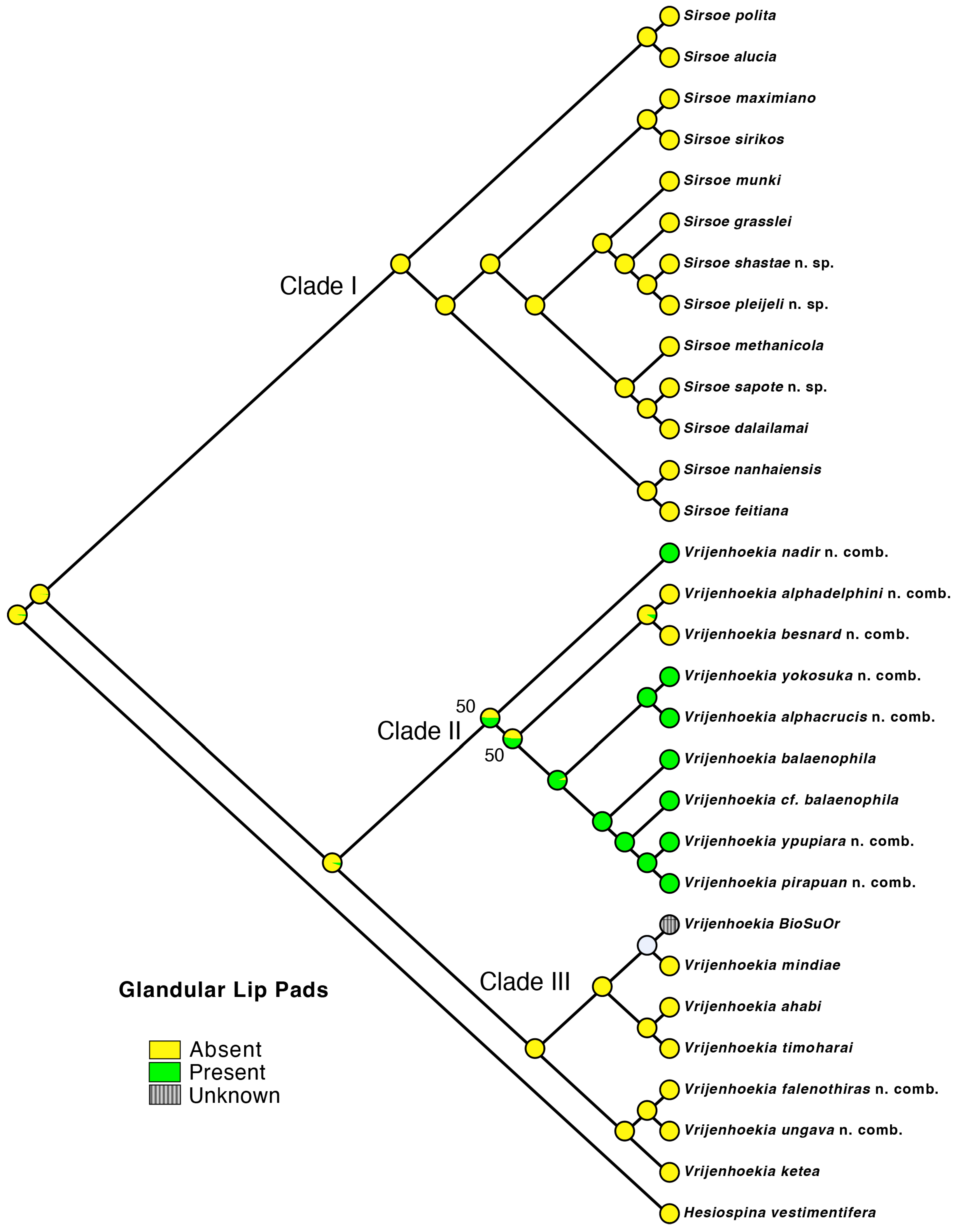 Diversity 17 00121 g006