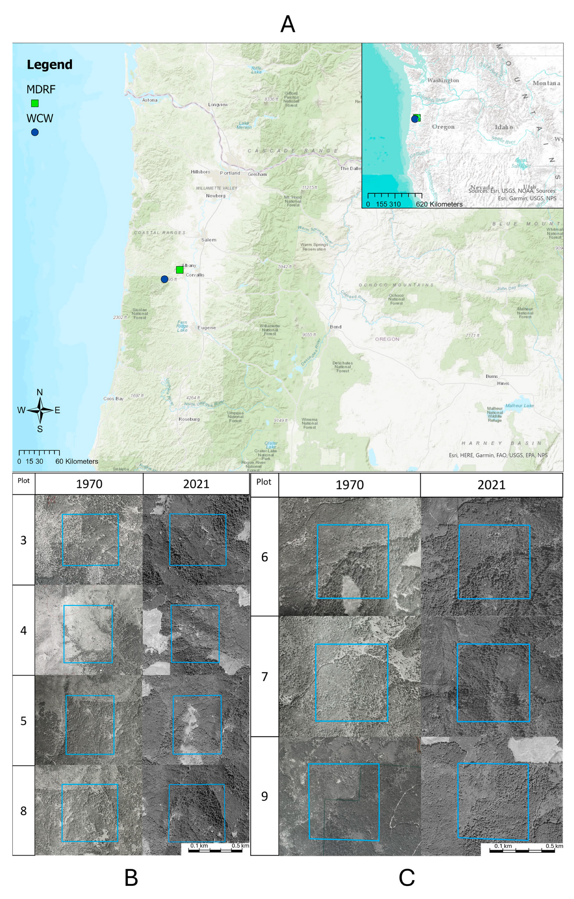 Diversity 17 00123 g001