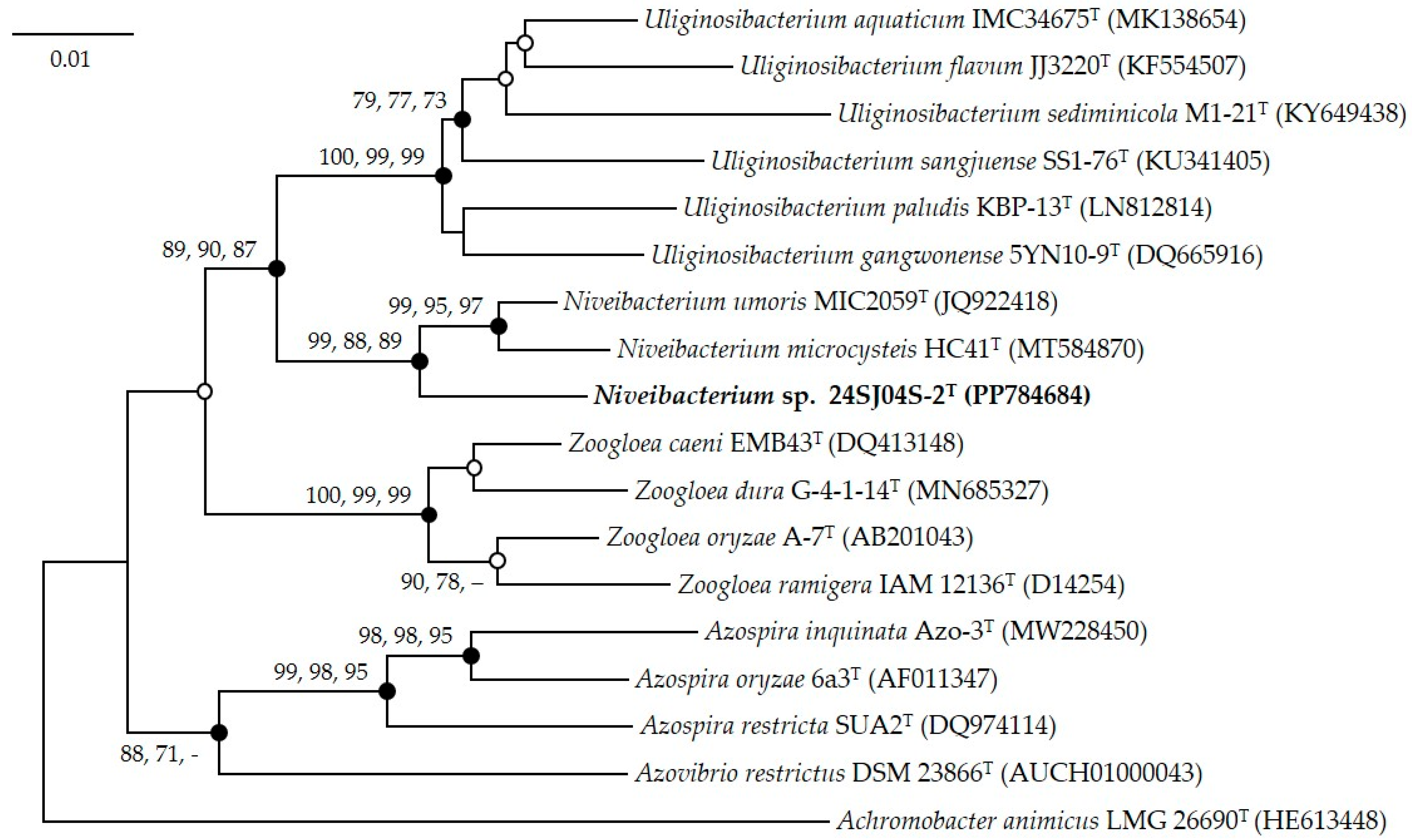 Diversity 17 00126 g001