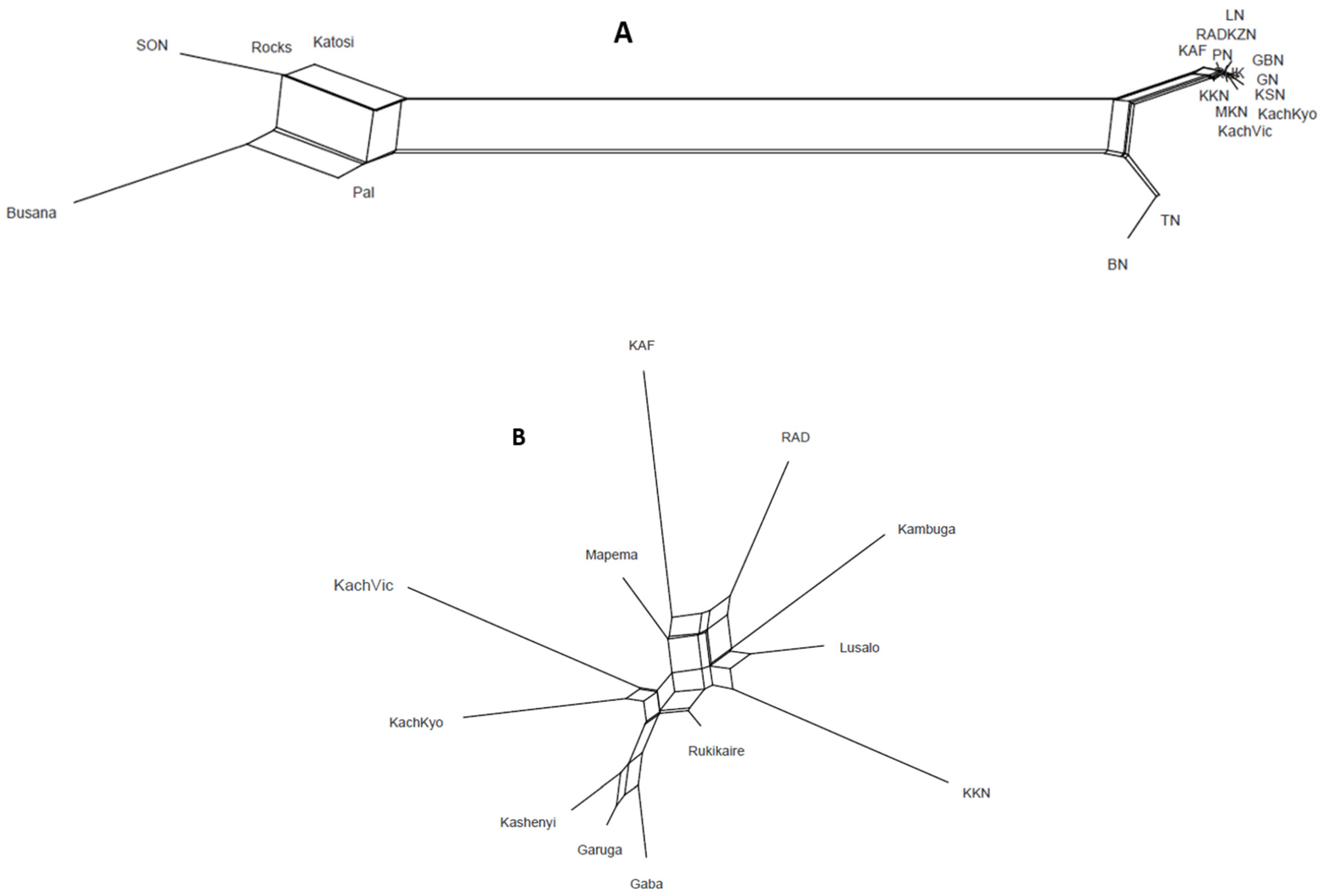 Diversity 17 00128 g005