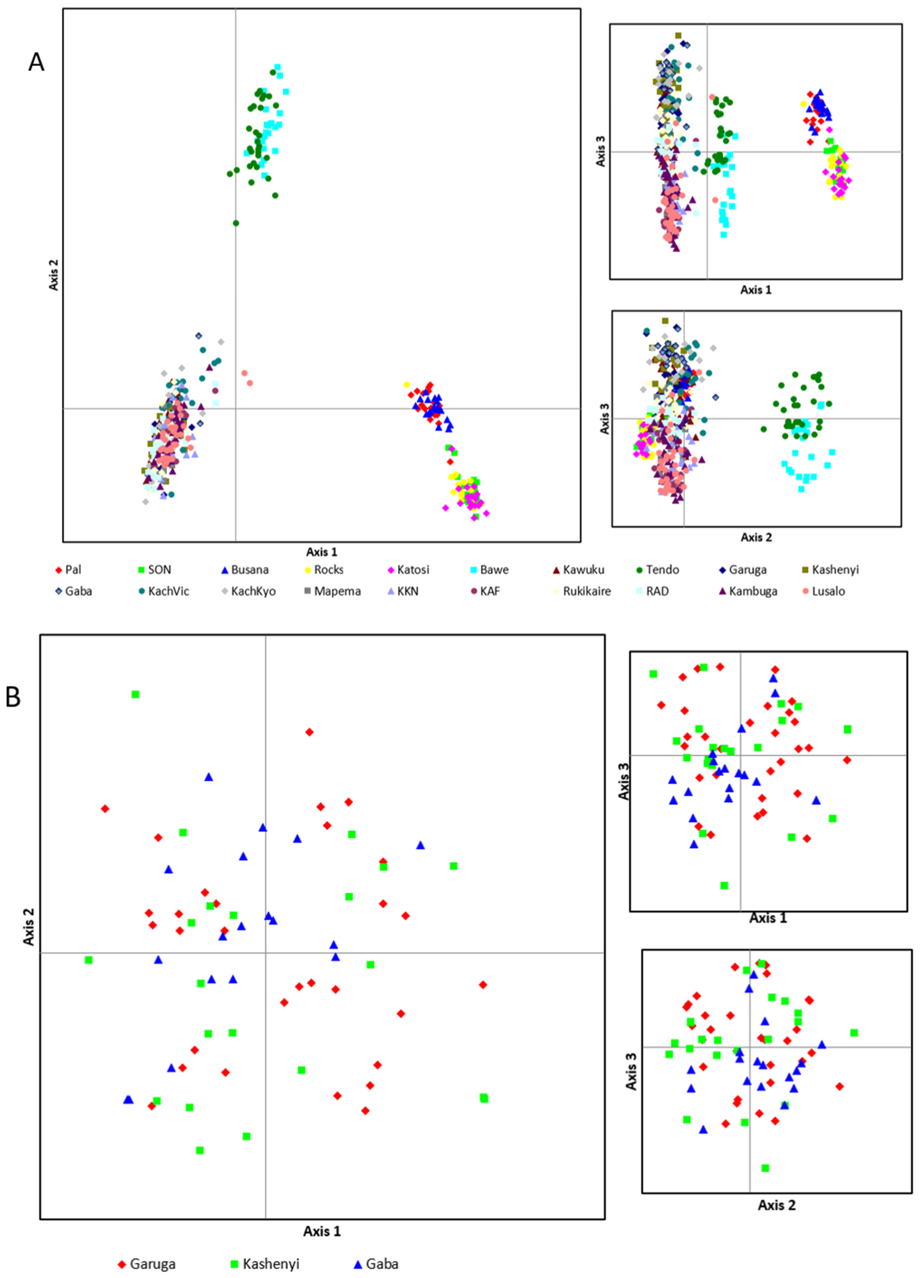 Diversity 17 00128 g006a